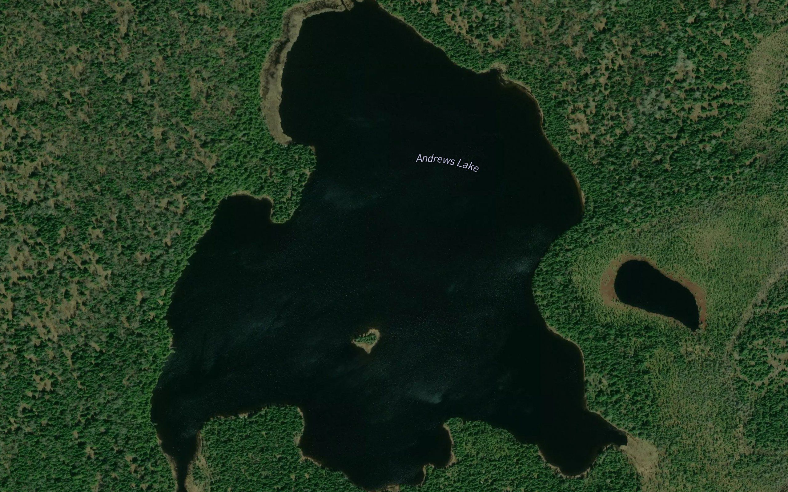 Andrews Lake