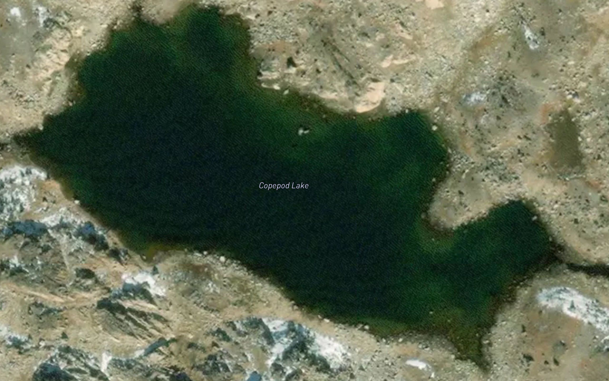 Copepod Lake