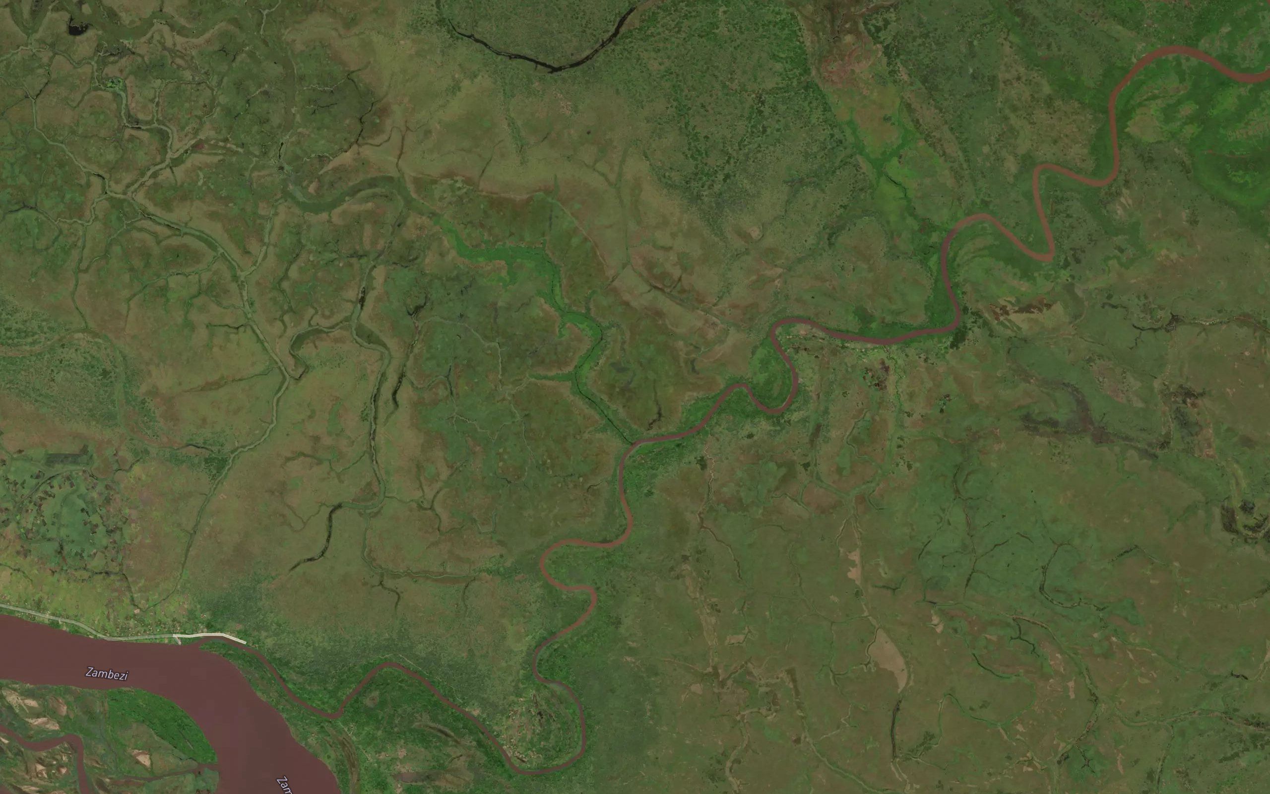 Rio Mapaniane