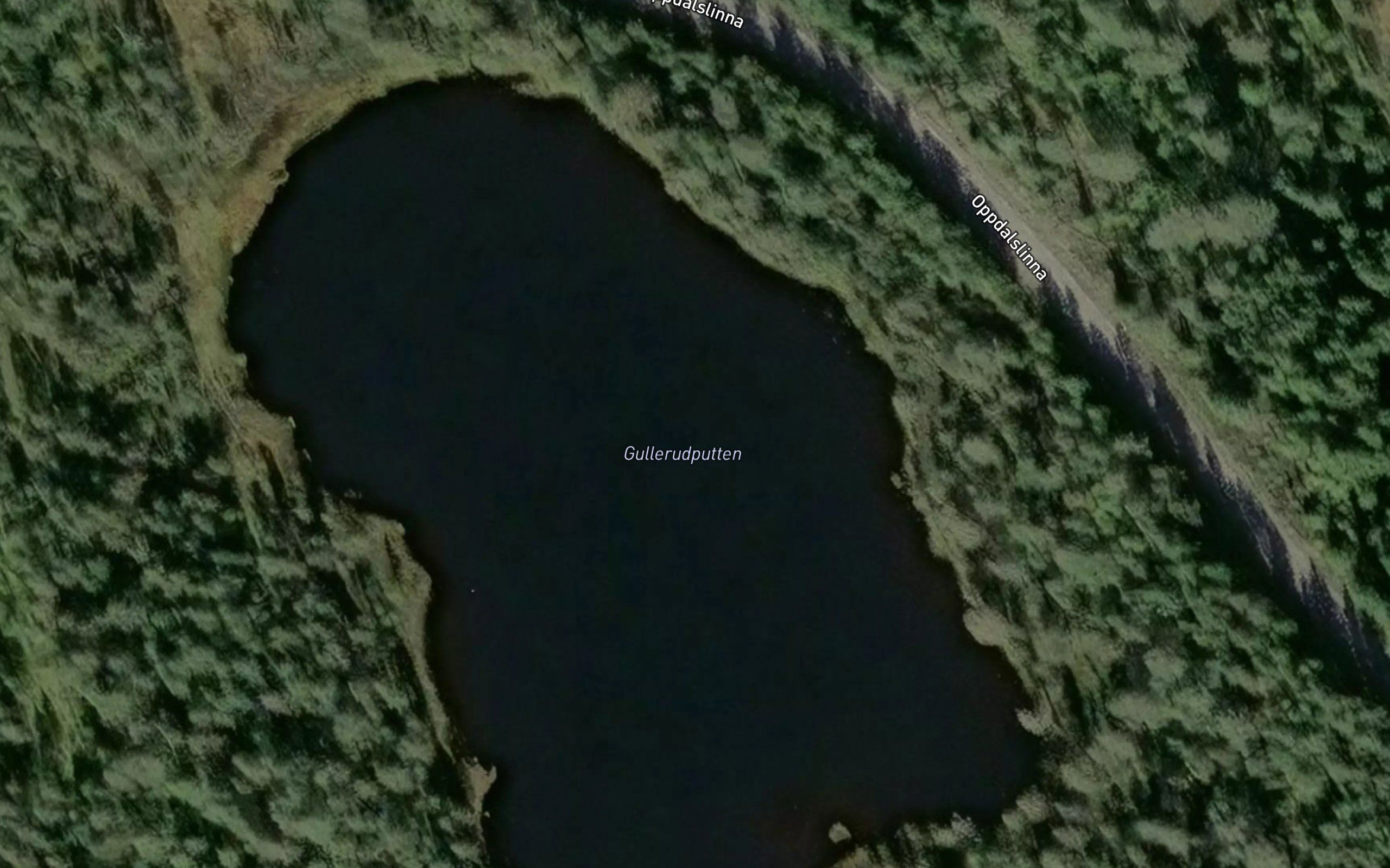 Gullerudputten