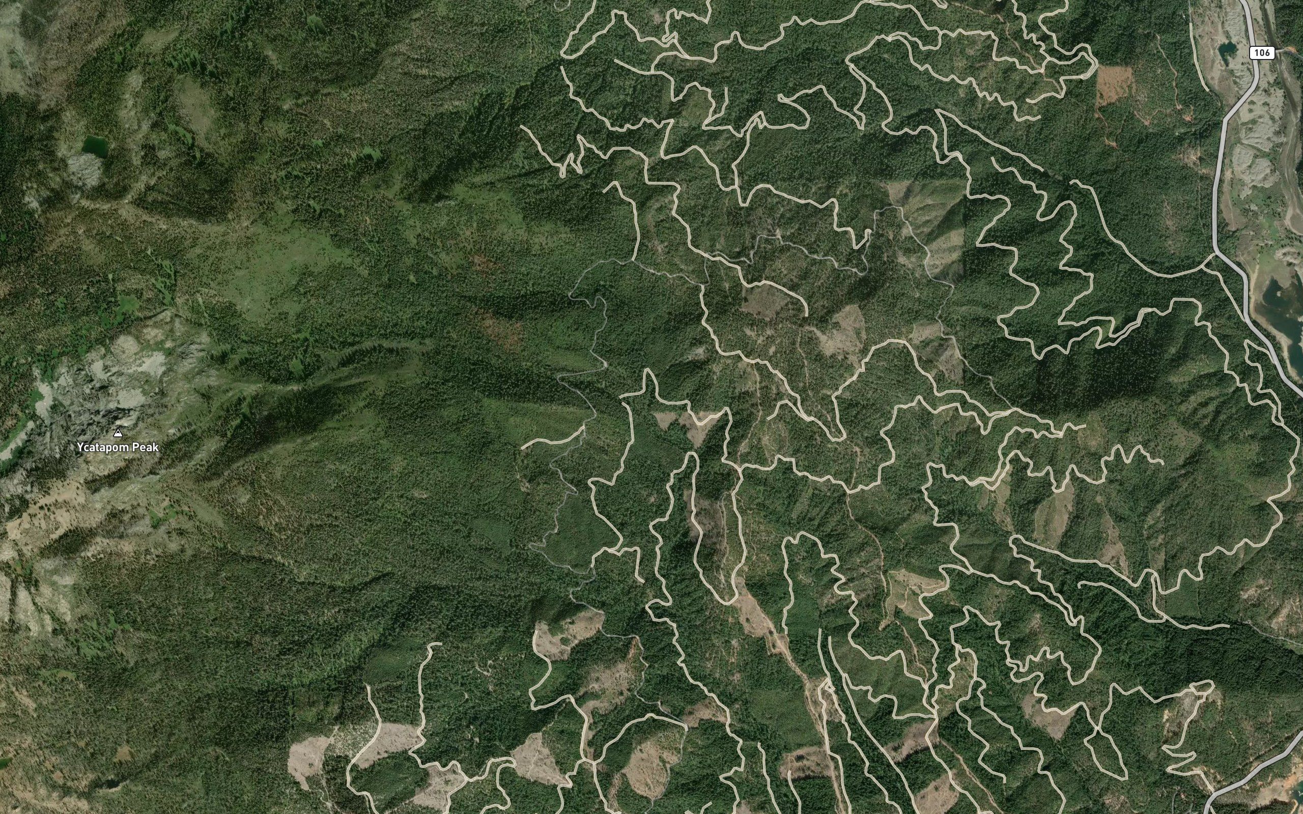 Deadhorse Creek