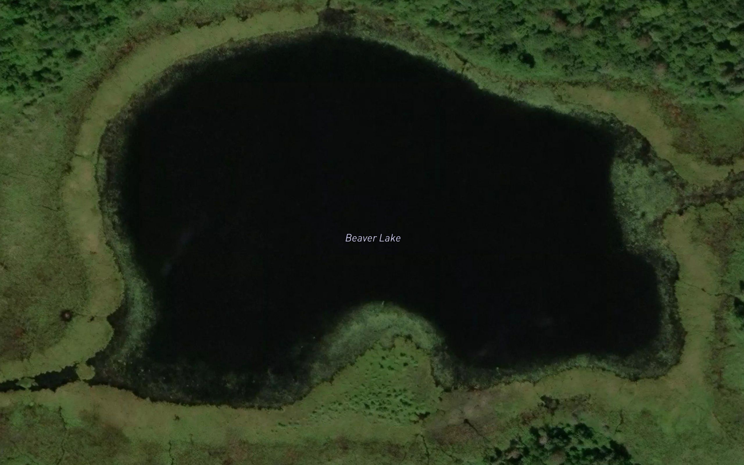 Beaver Lake