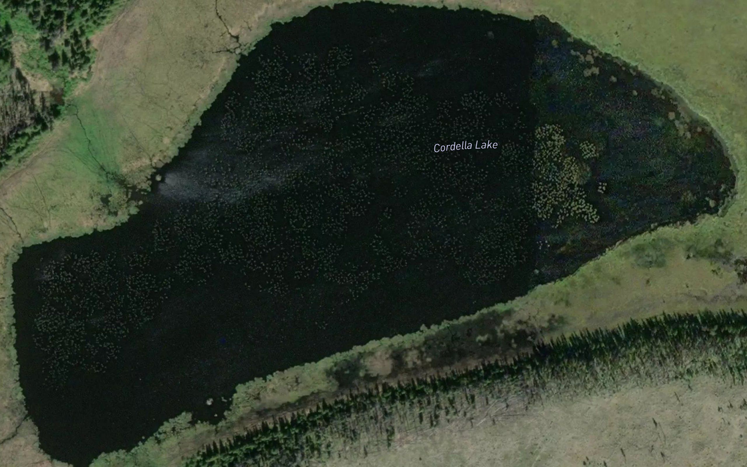 Cordella Lake
