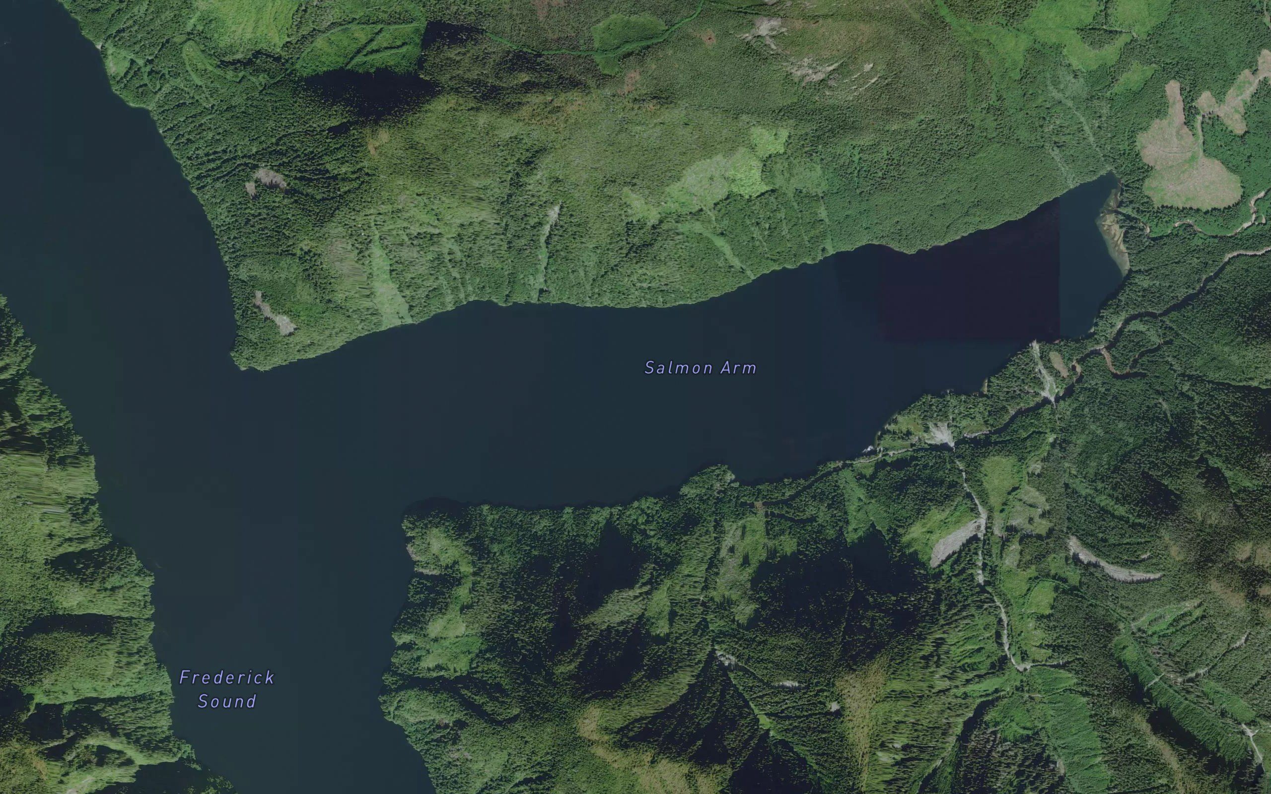 Salmon Arm