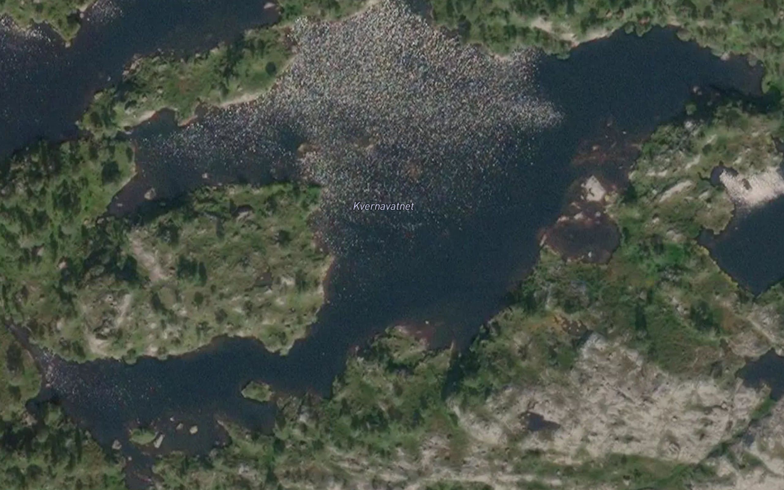 Kvernavatnet