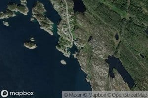 Stokkevika