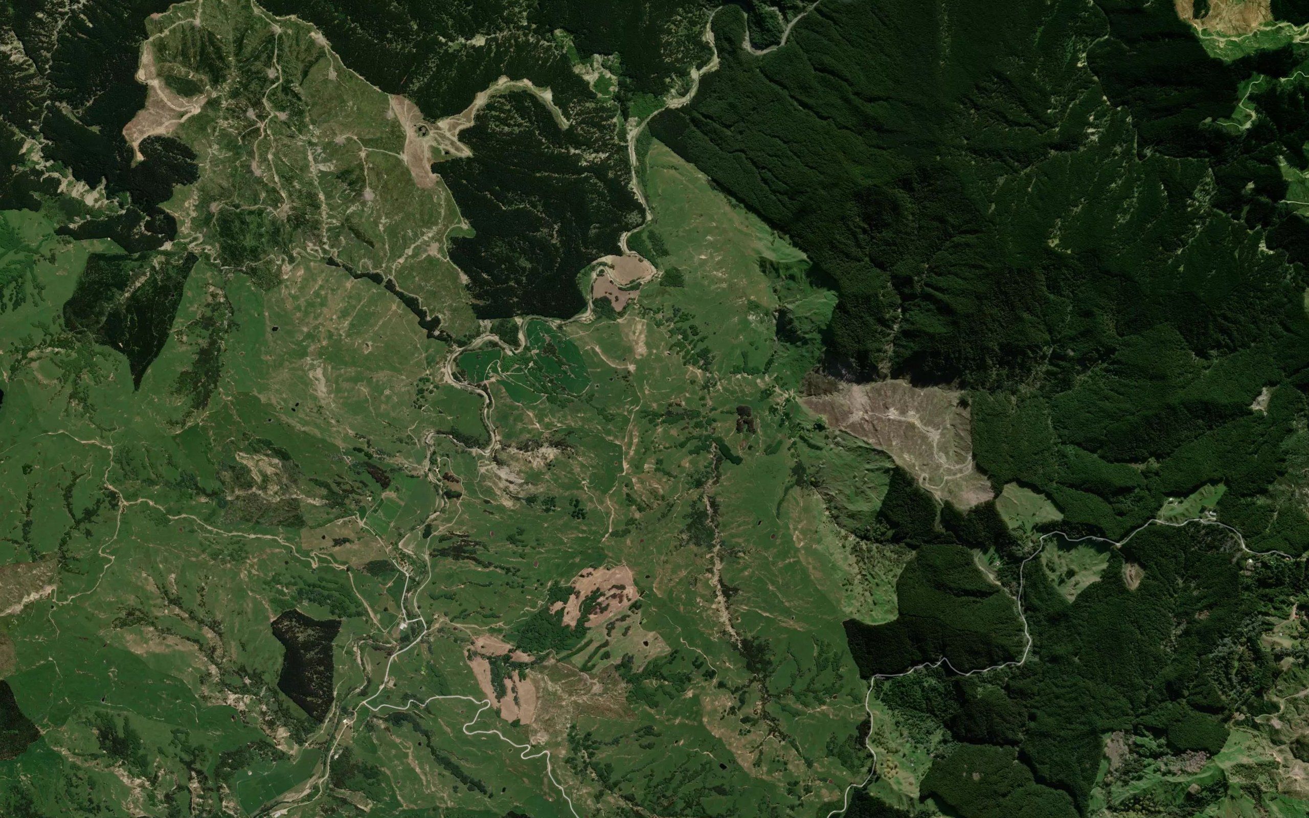Kawakawa Stream
