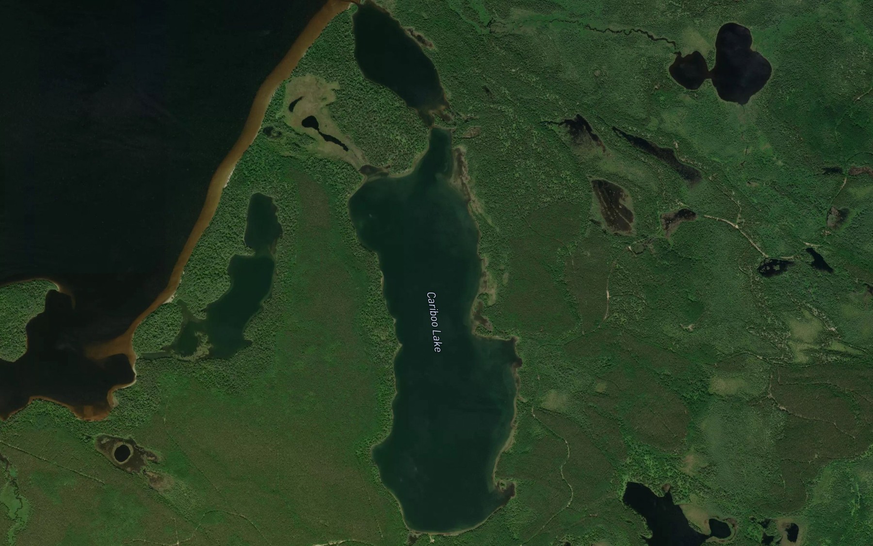 Satellite map of the Cariboo Lake