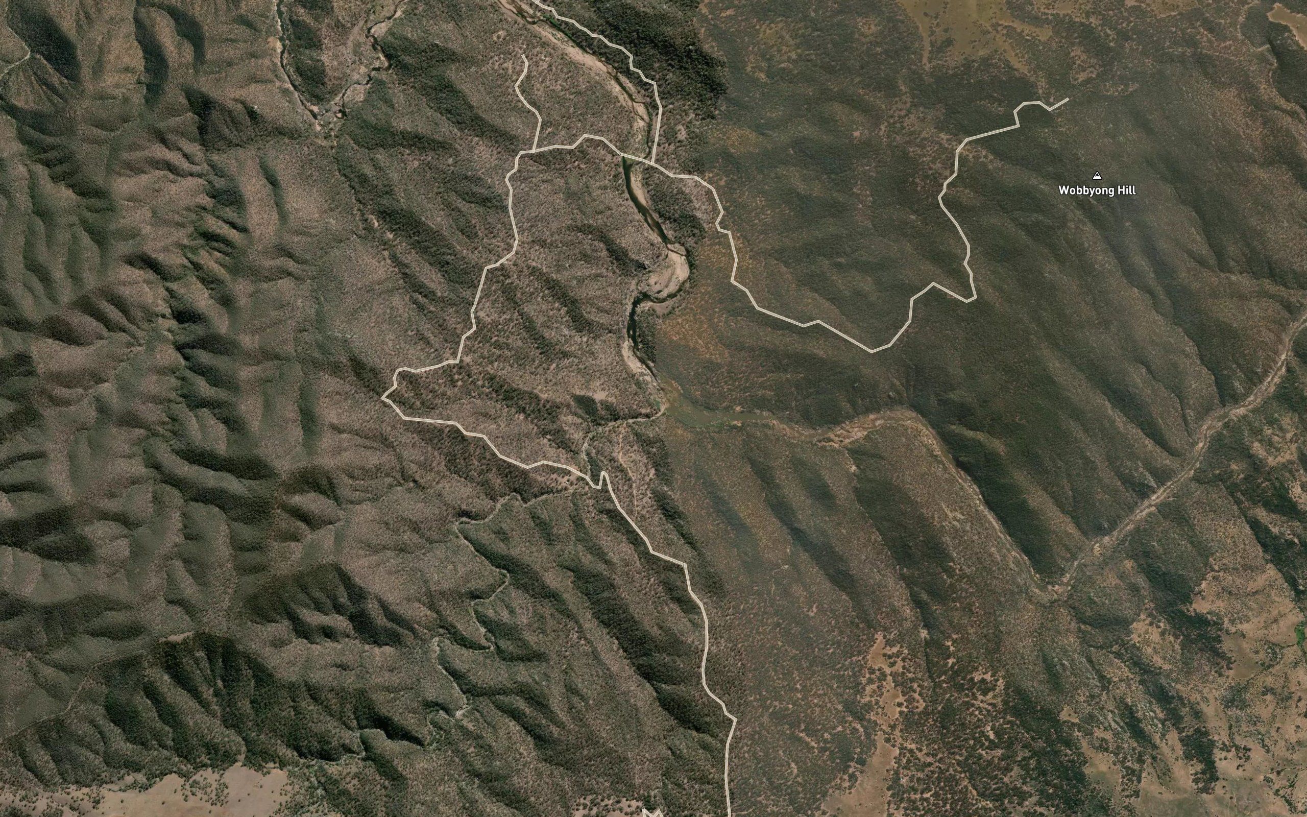 Corrowong Creek