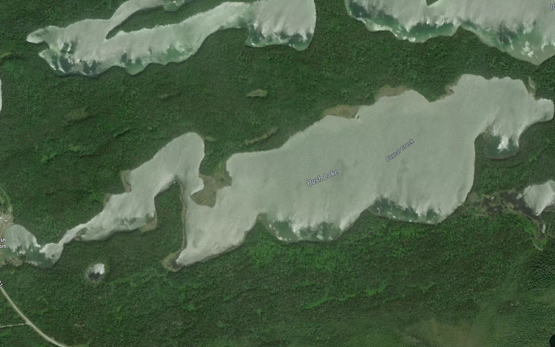Satellite map of the Bush Lake