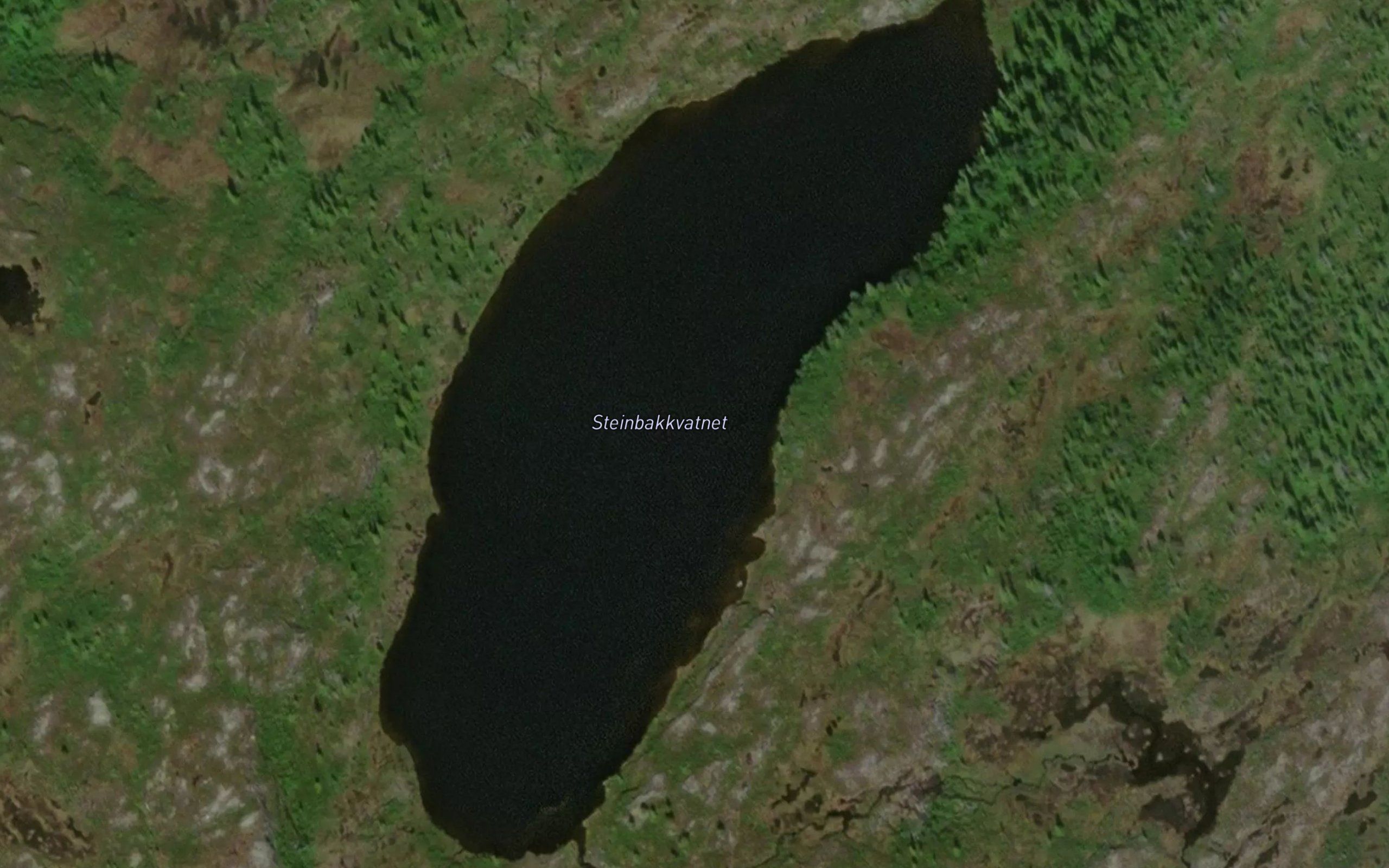Steinbakkvatnet