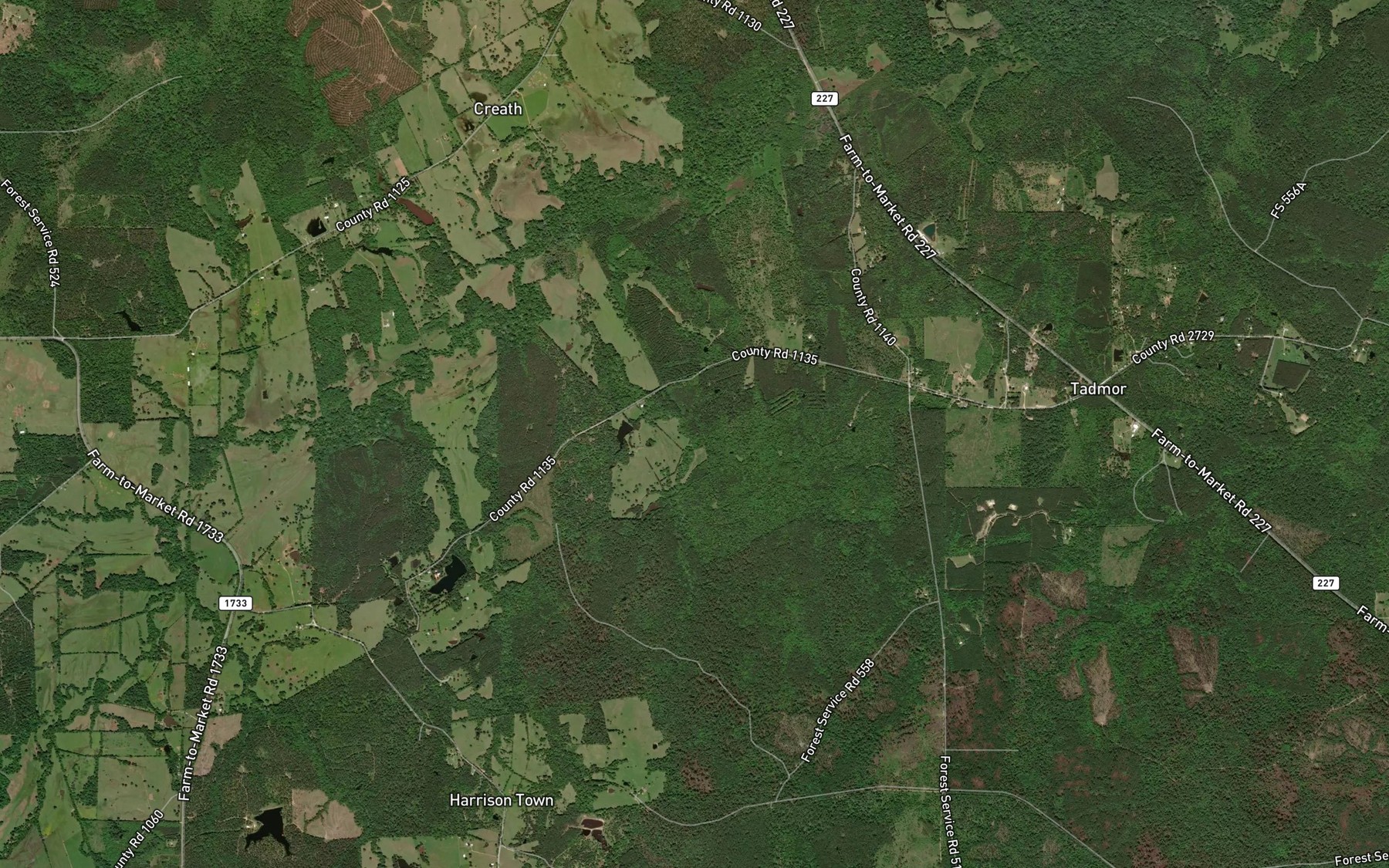 Satellite map of the Joe Branch
