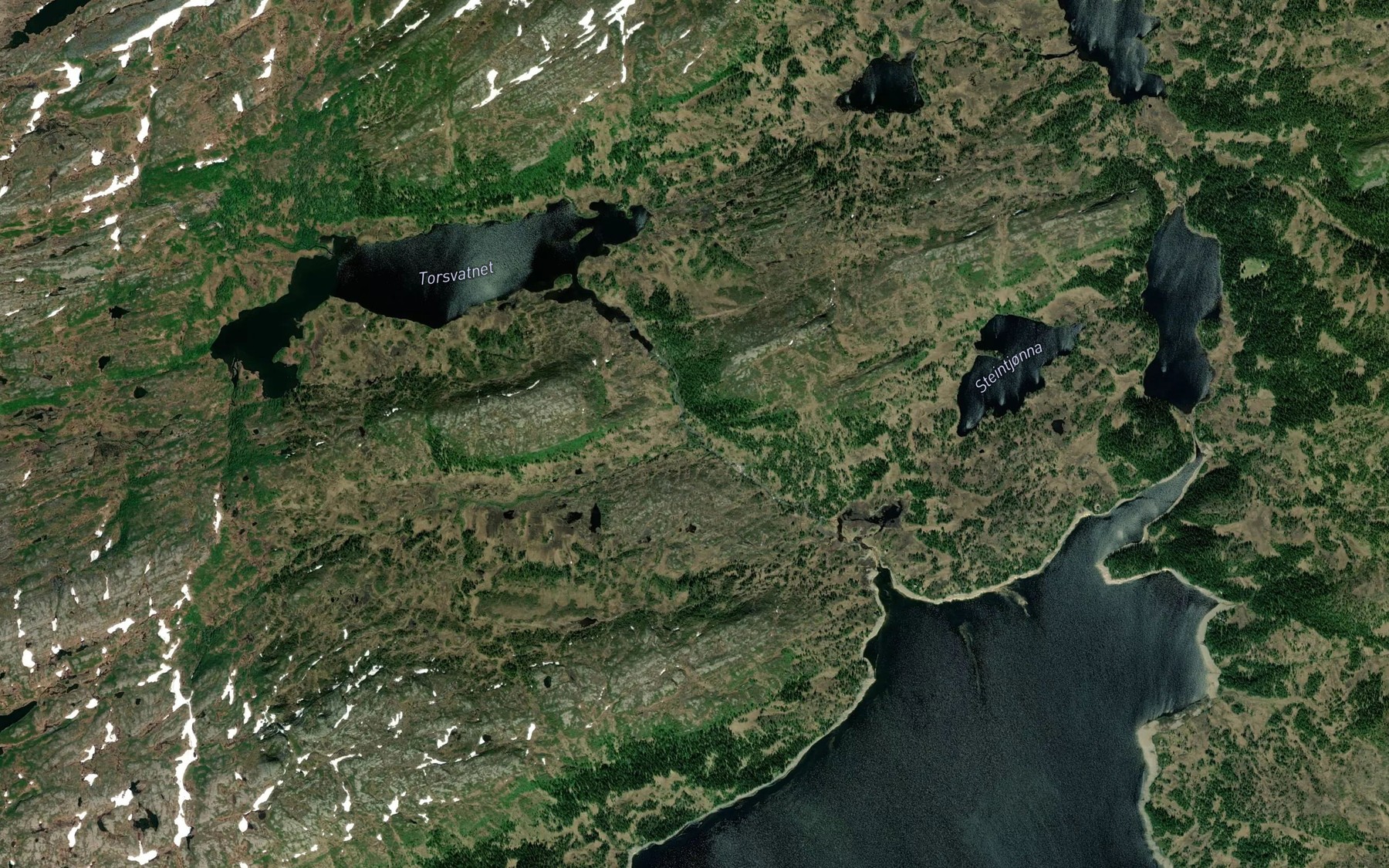 Satellite map of the Torselva