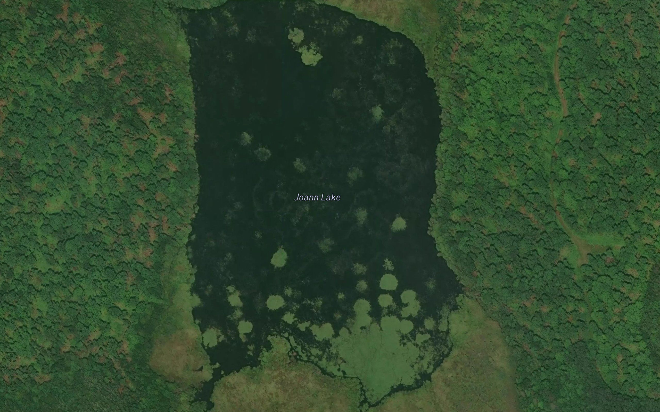 Joann Lake