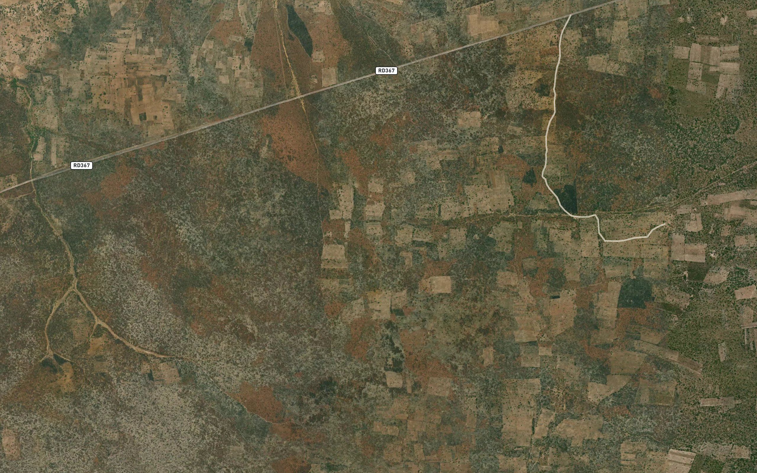 Matozha Dambo