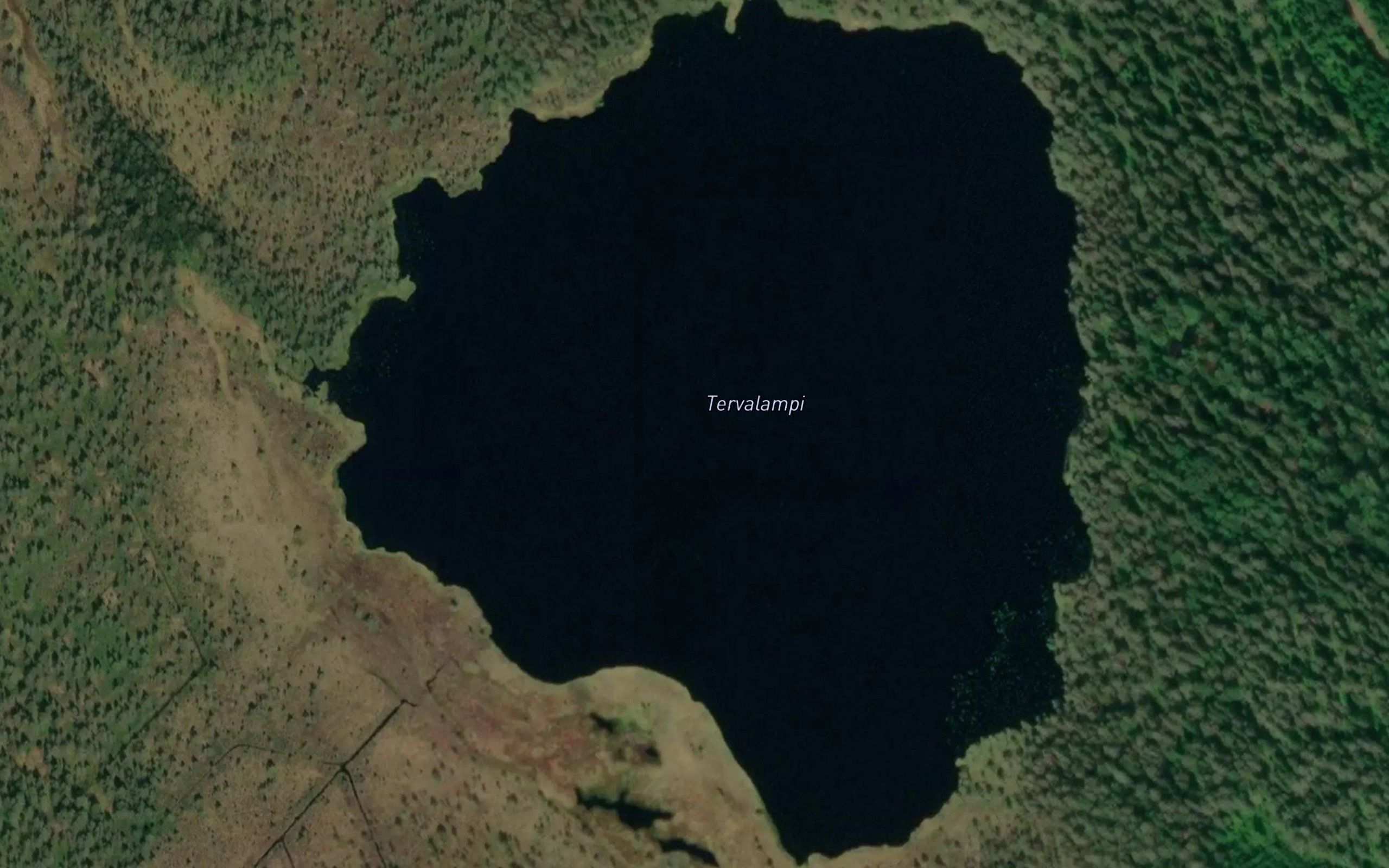 Tervalampi