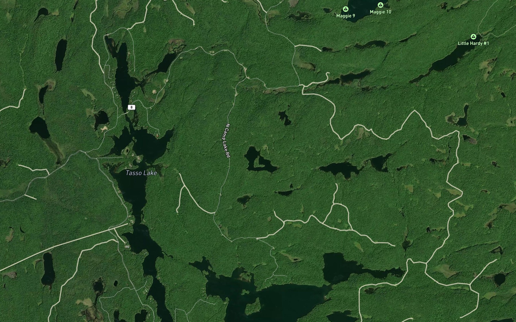 Satellite map of the Doughnut Lake
