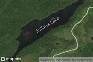 Sallows Lake