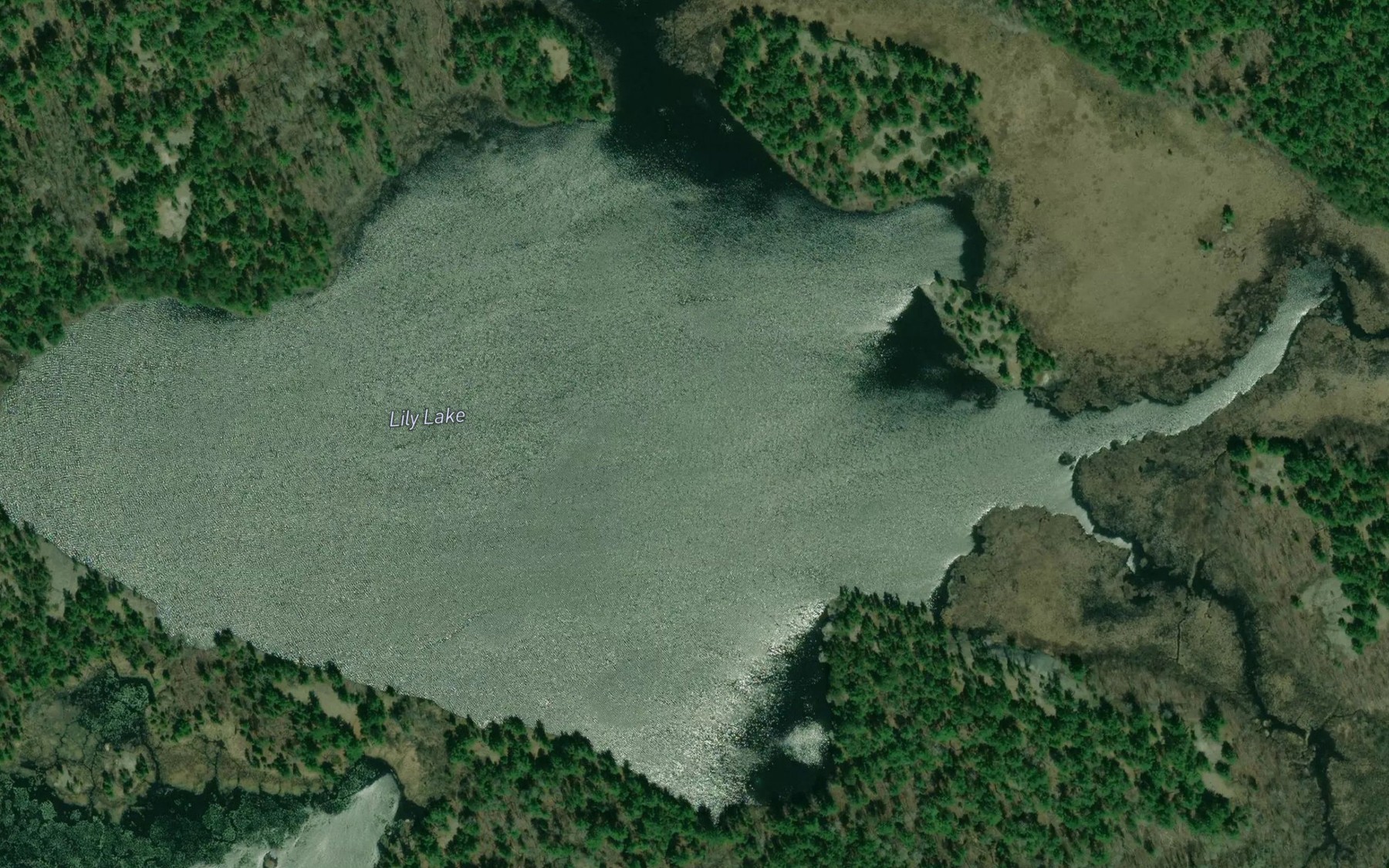 Satellite map of the Lily Lake