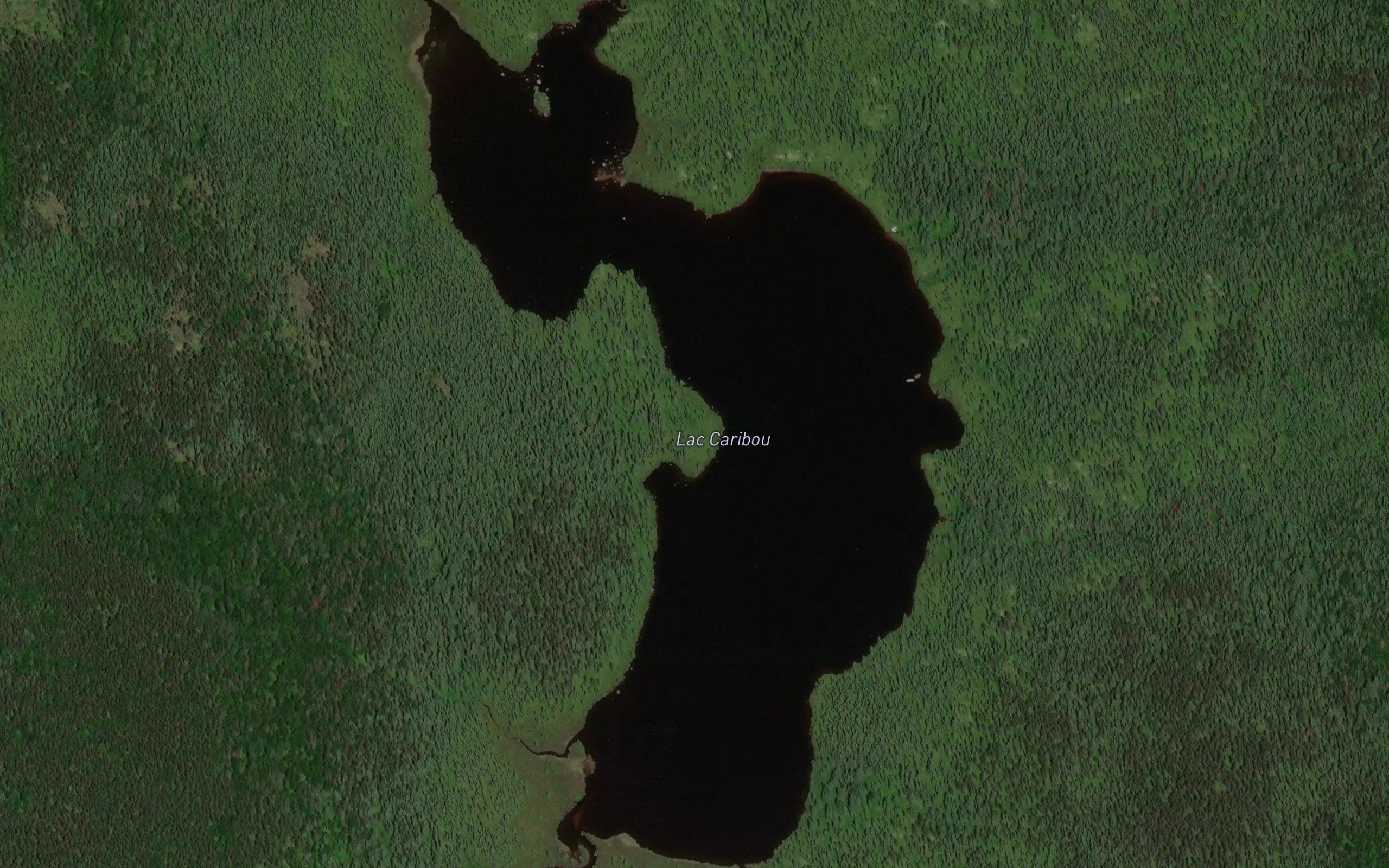 Lac Caribou