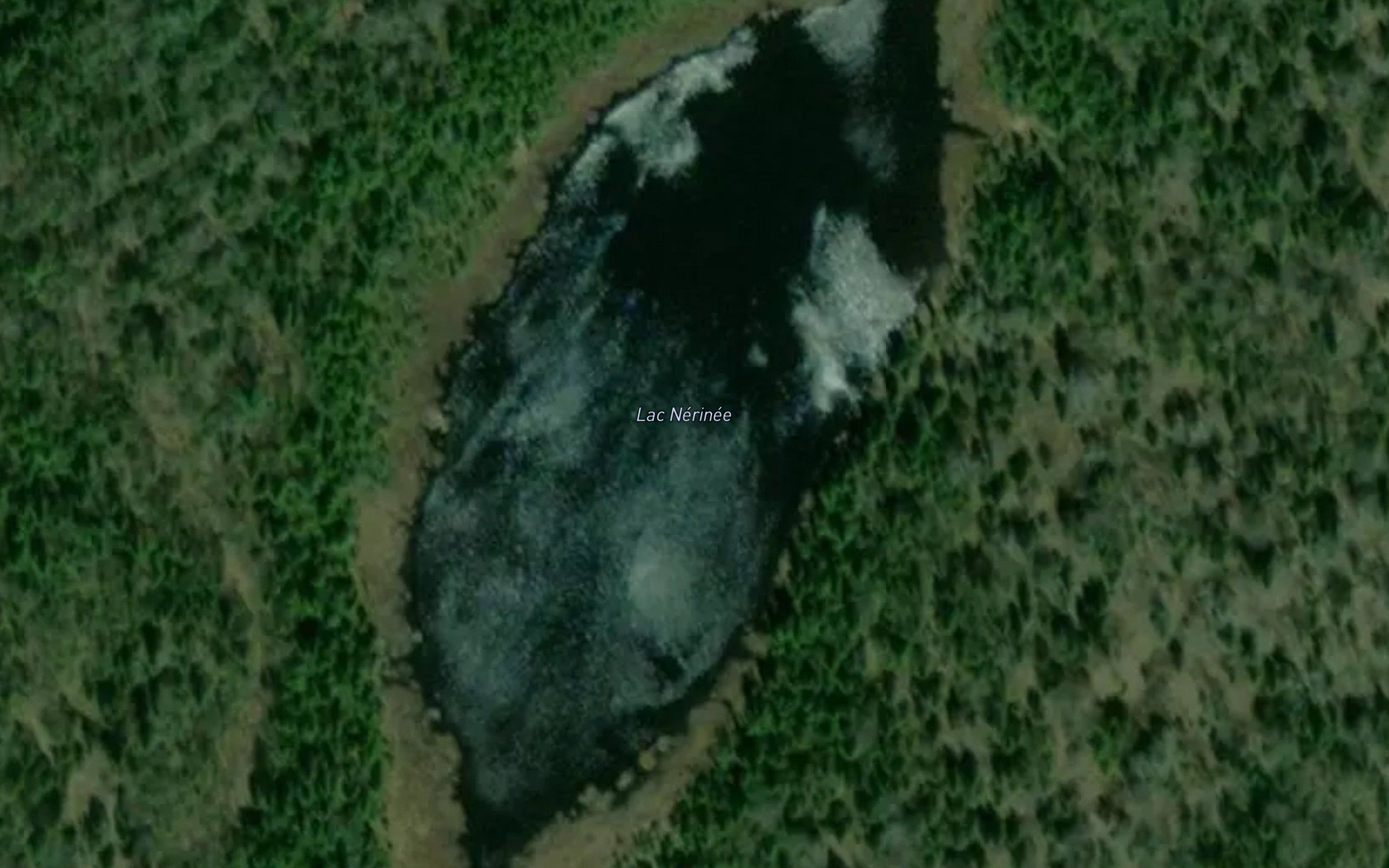 Lac Nerinee