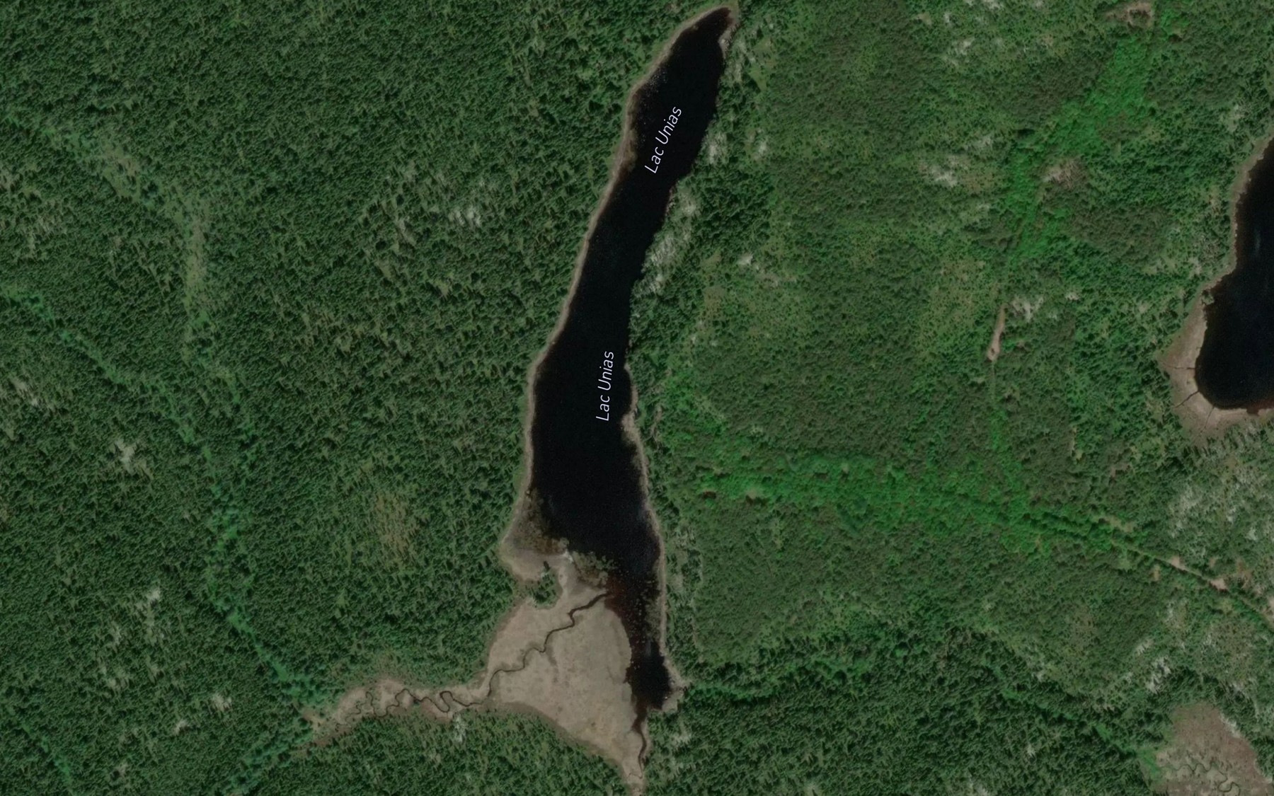 Satellite map of the Lac Unias