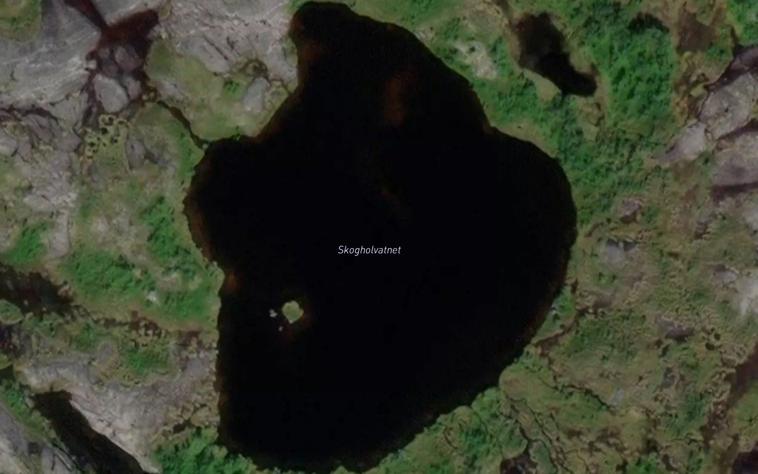 Skogholvatnet