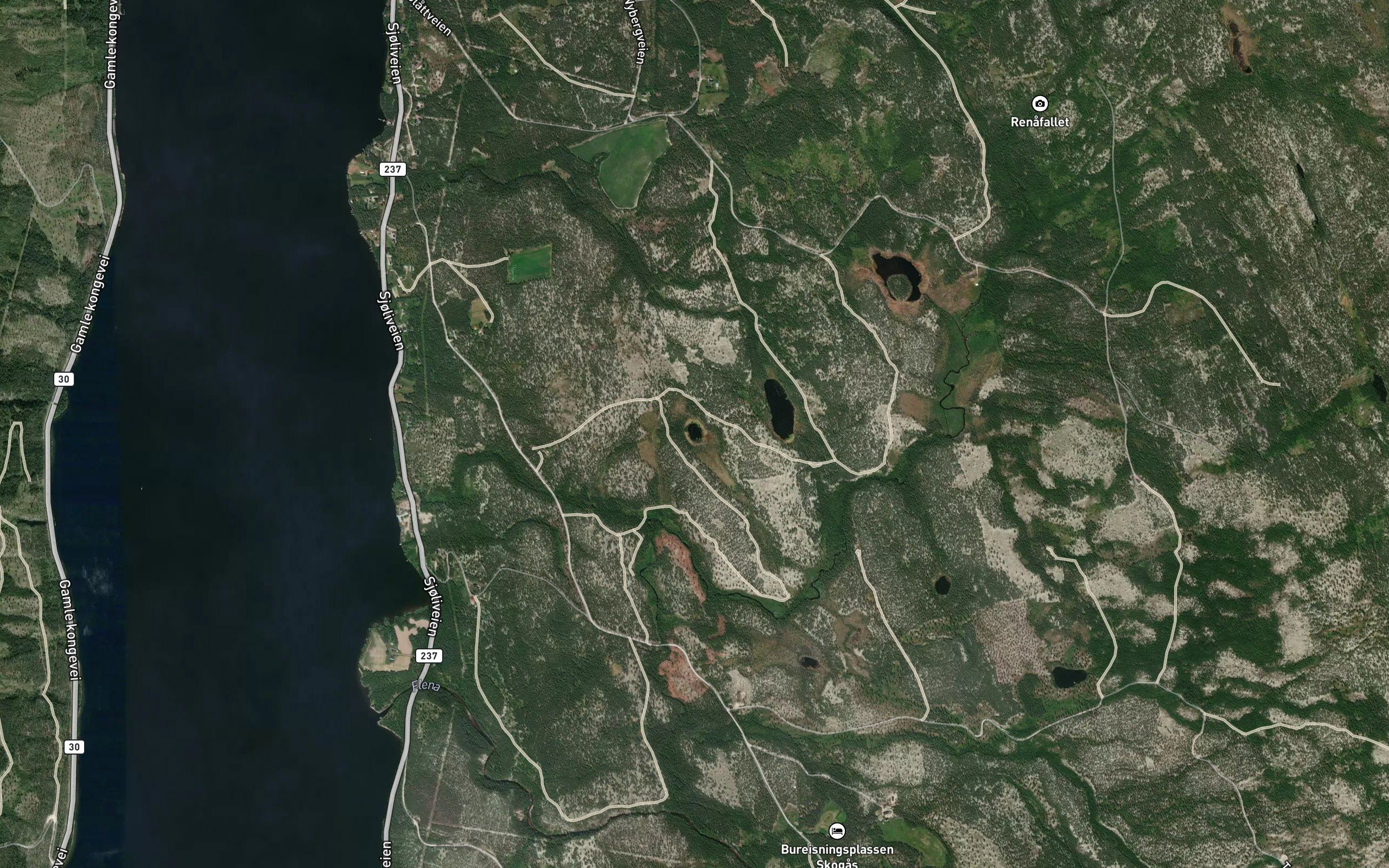 Lomtjorna,nedre