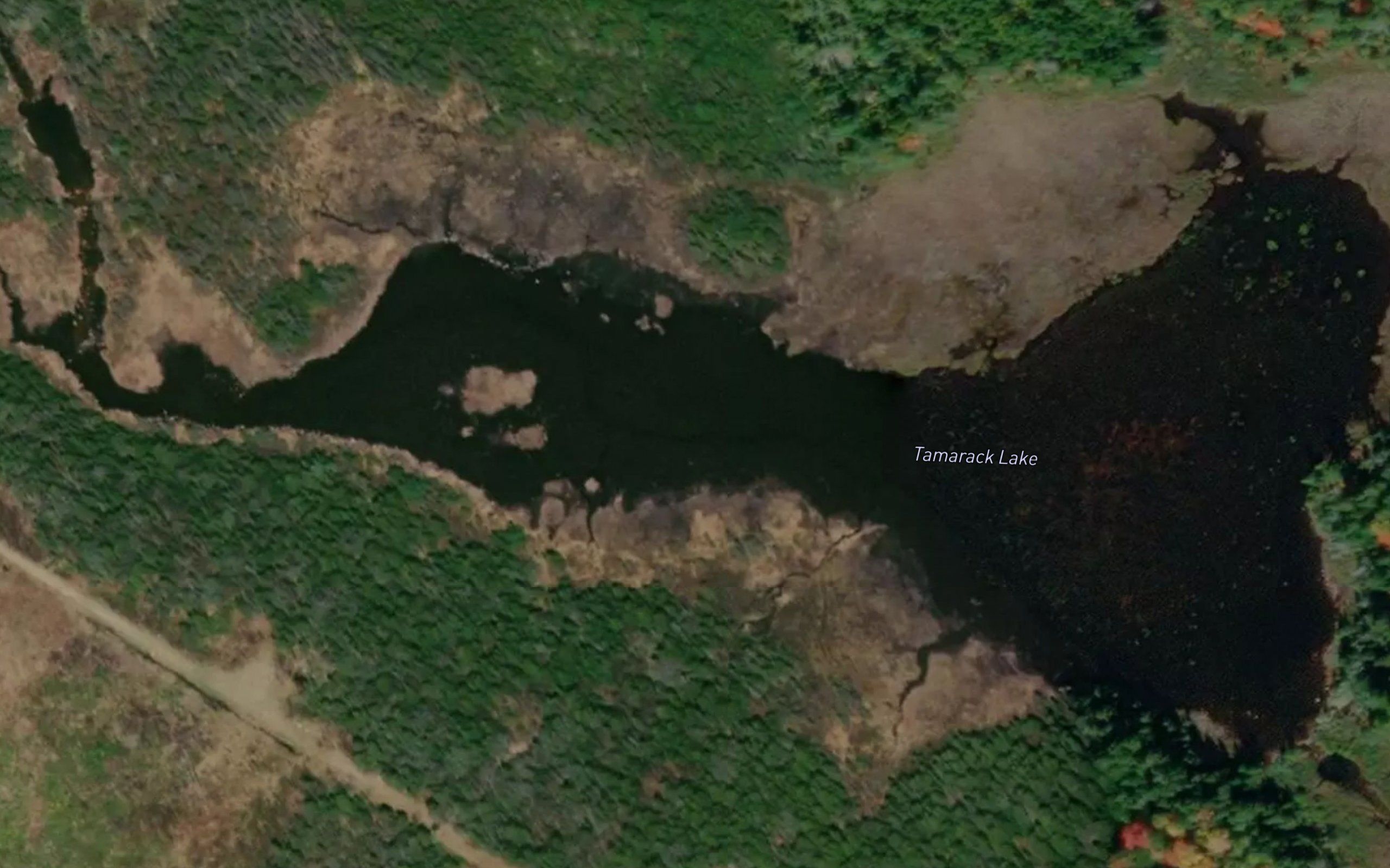 Tamarack Lake