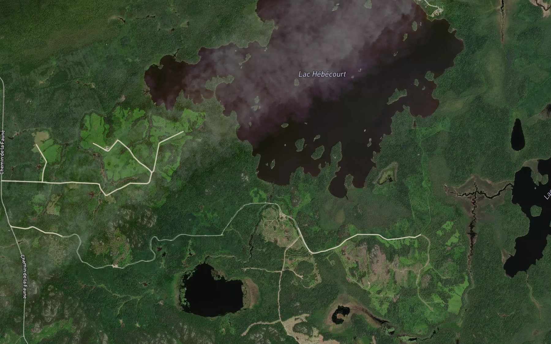 Satellite map of the Baie de l'Ours
