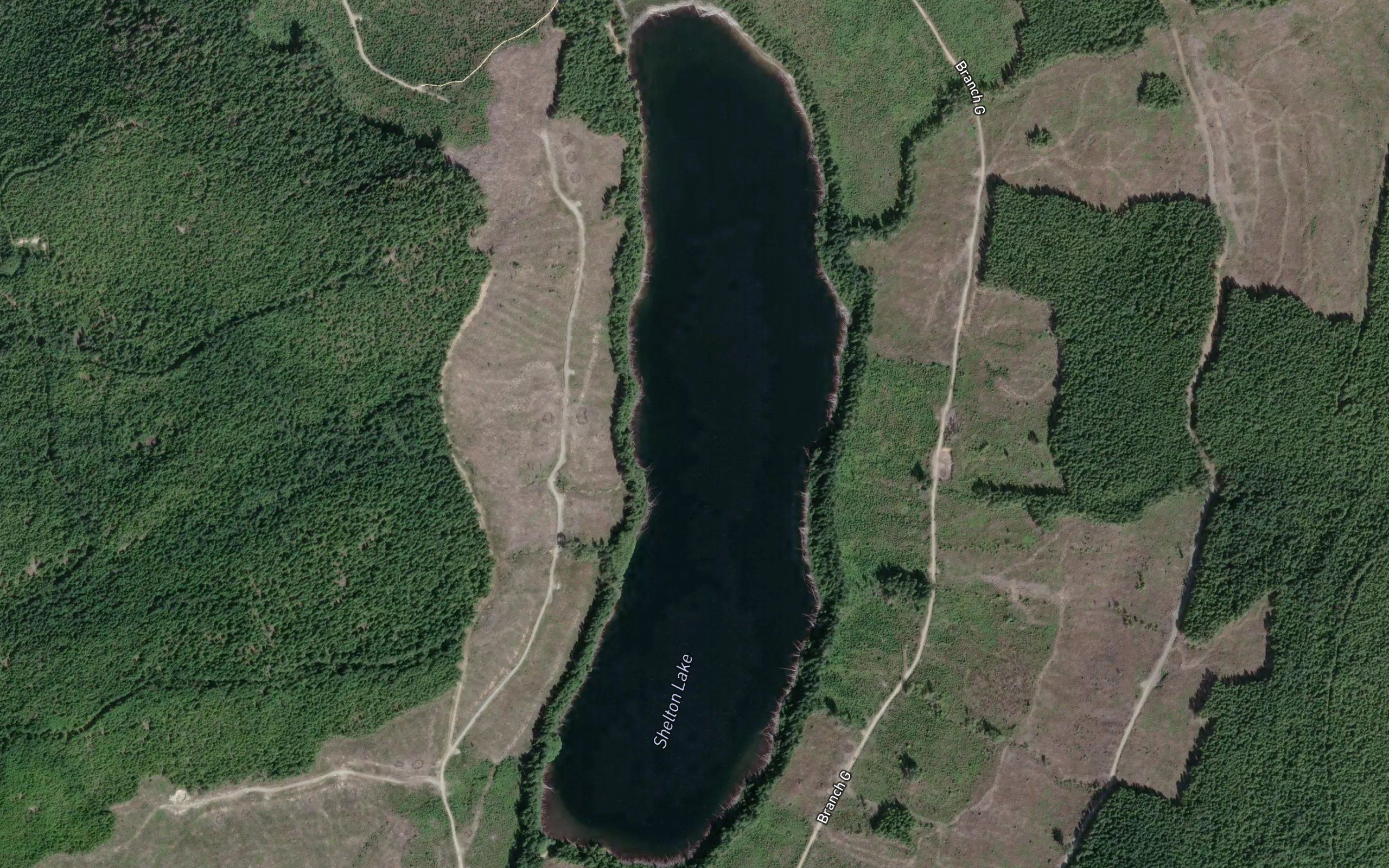 Shelton Lake