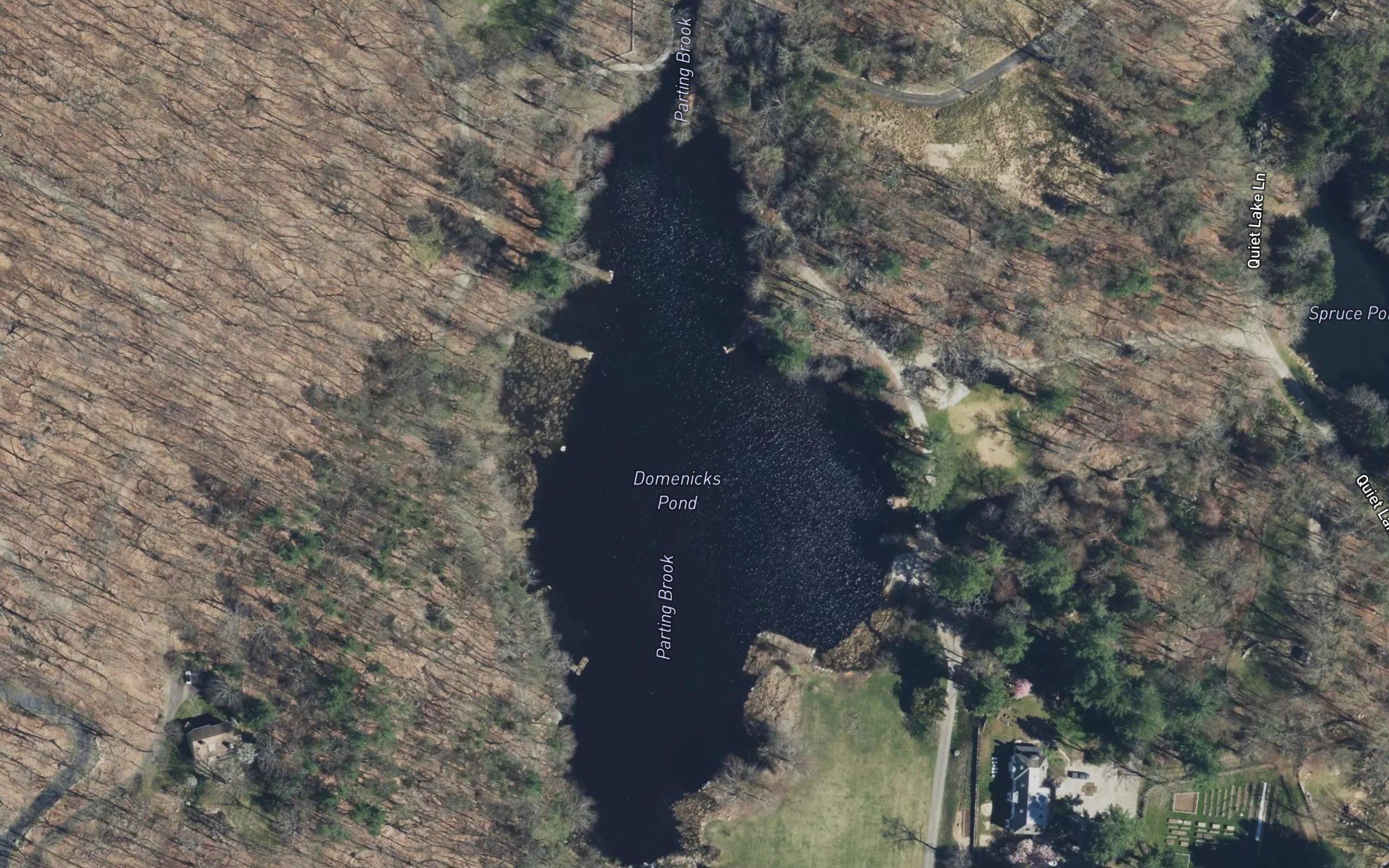Domenicks Pond