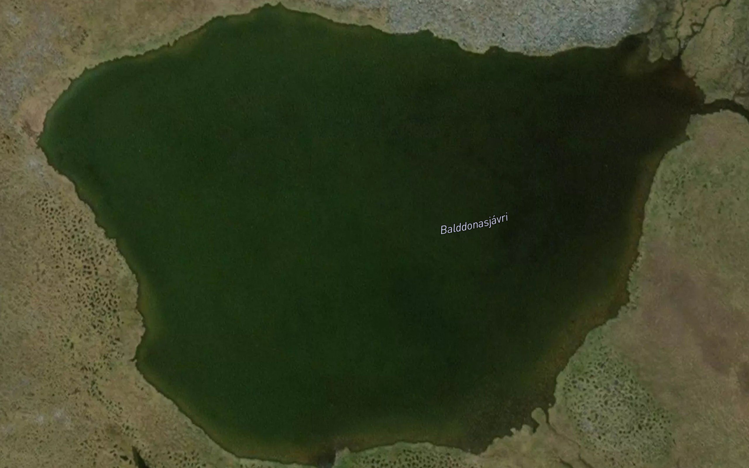 Balddonasjavri