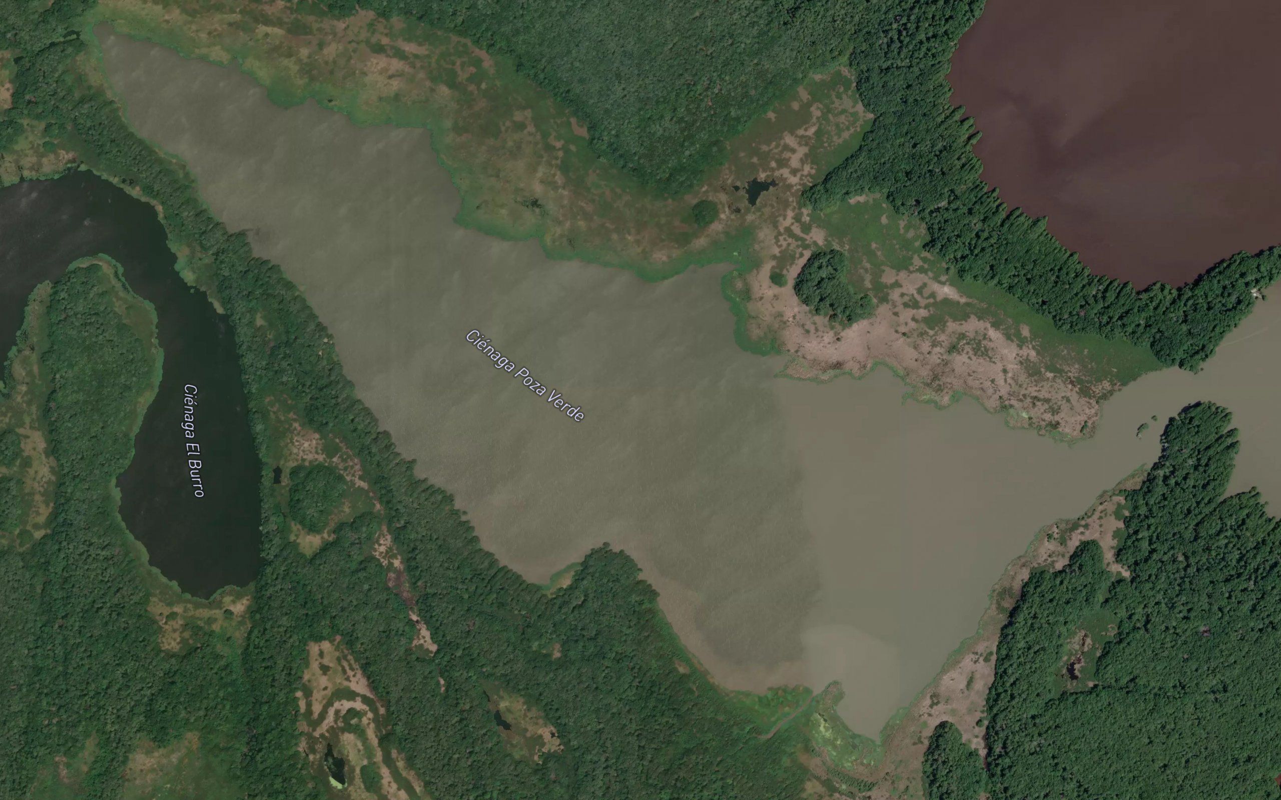 Cienaga Poza Verde