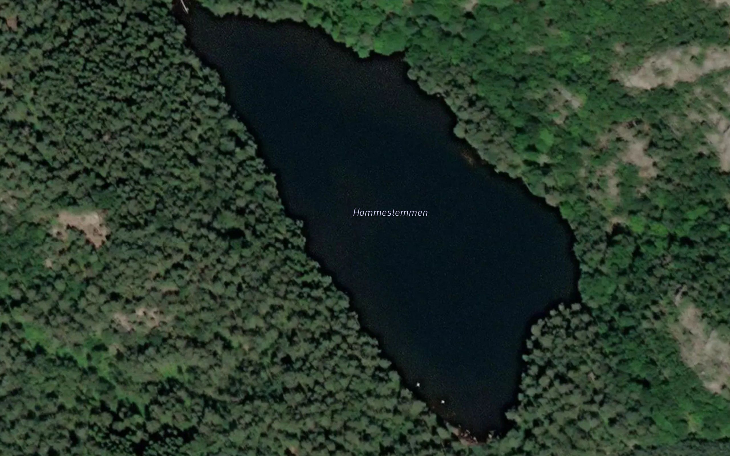 Hommestemmen