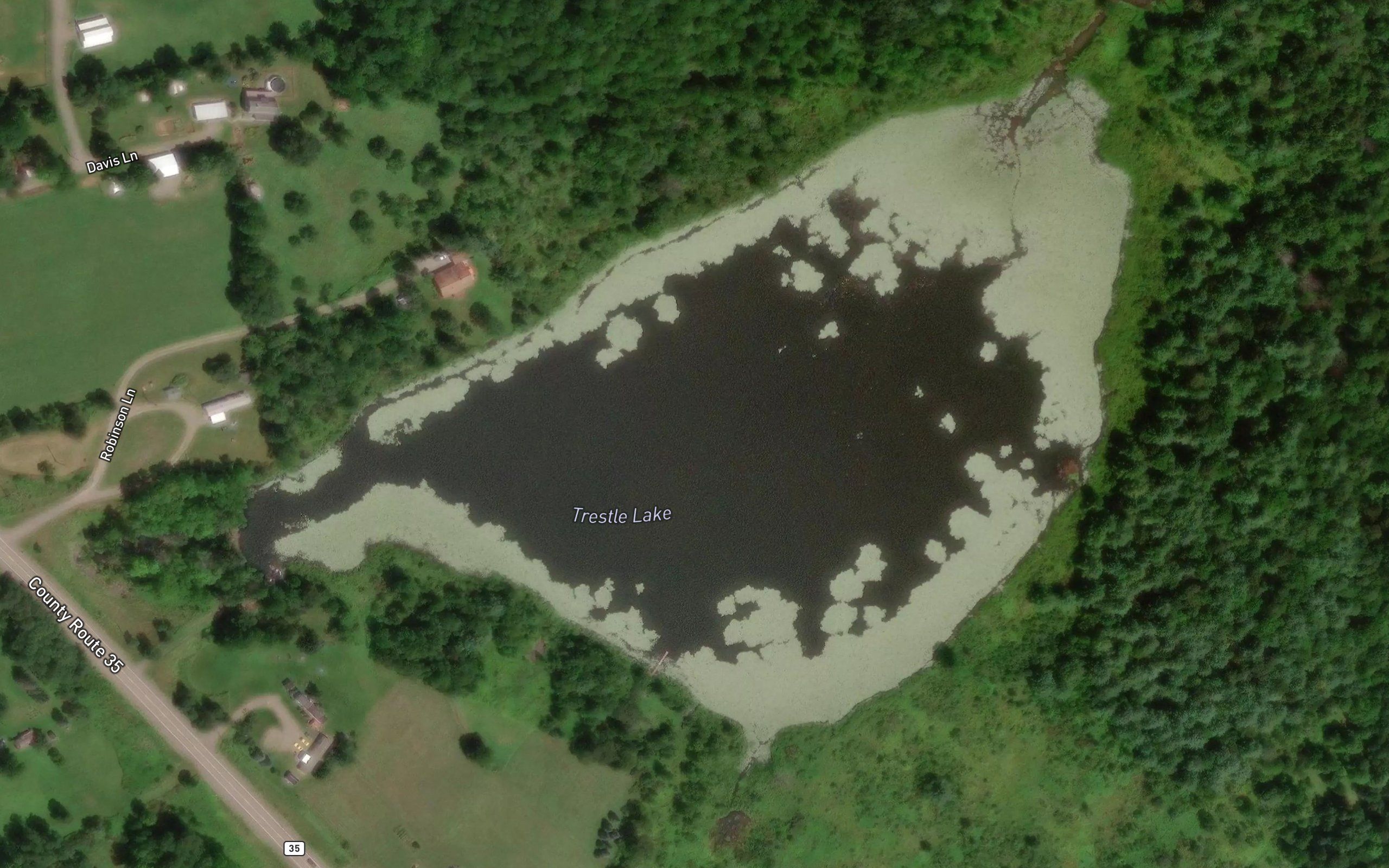 Trestle Lake