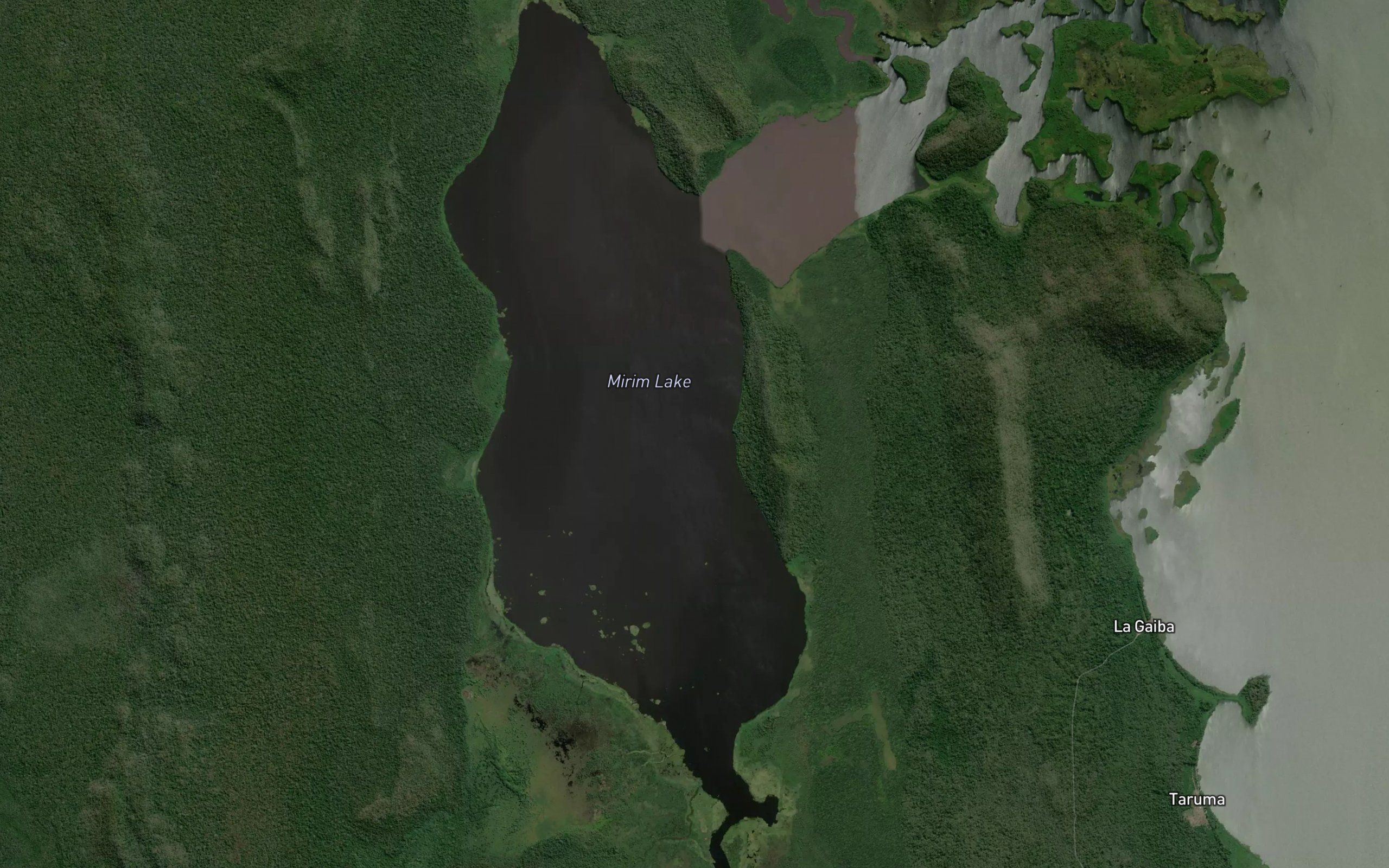 Laguna Gaiba Mirim