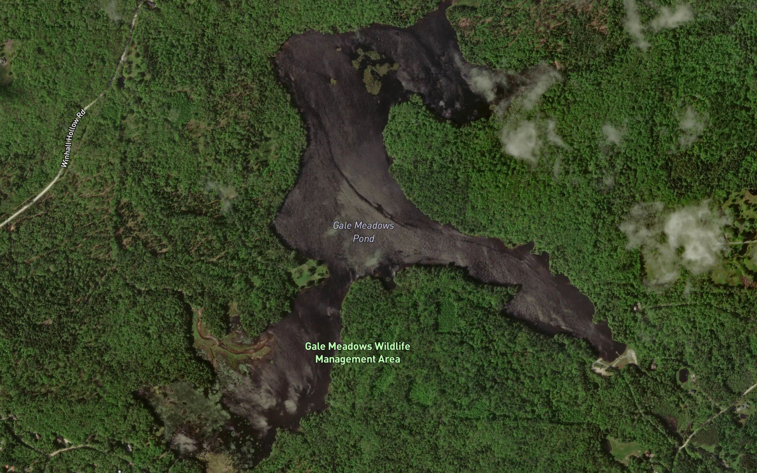Gale Meadows Pond