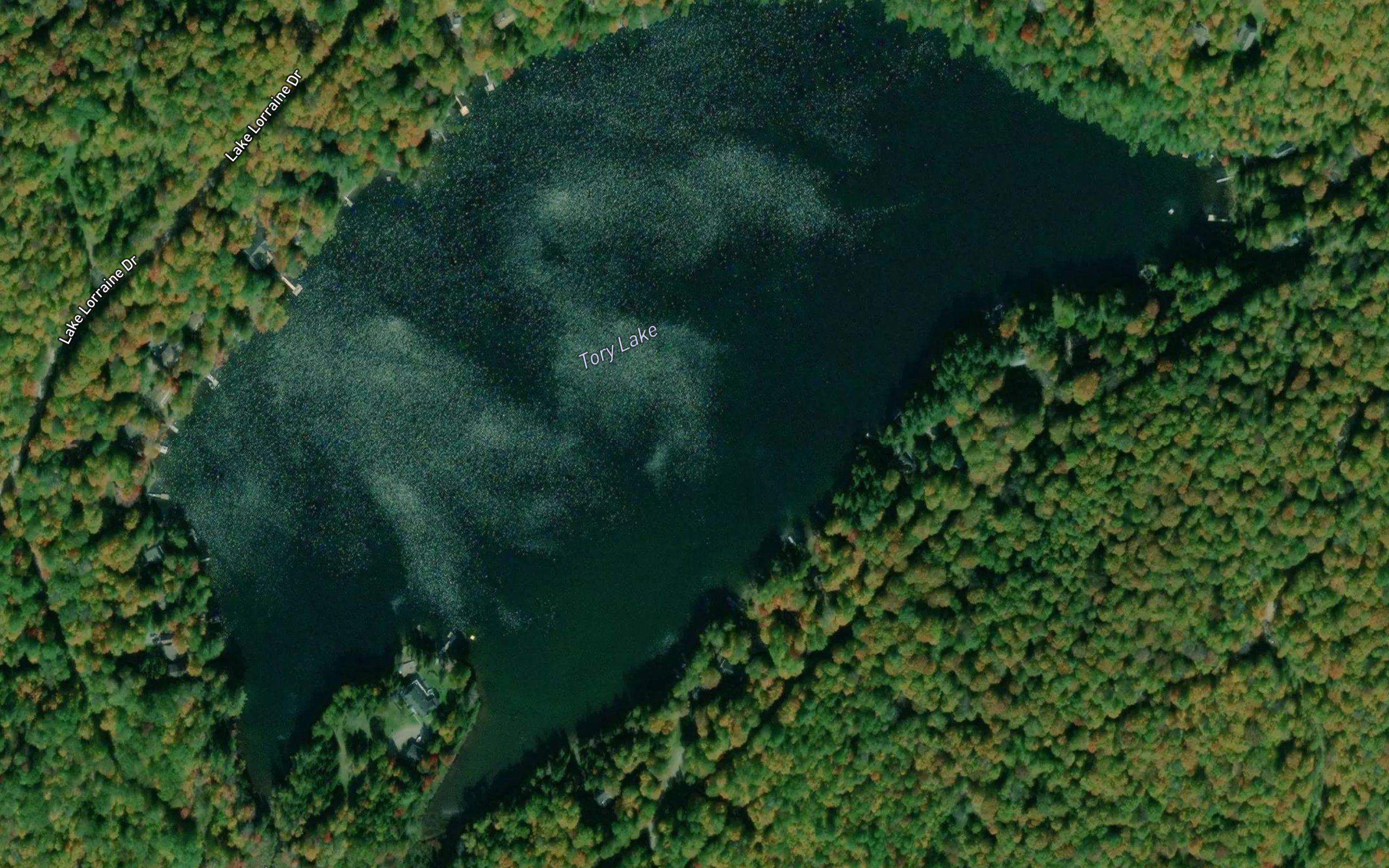 Tory Lake
