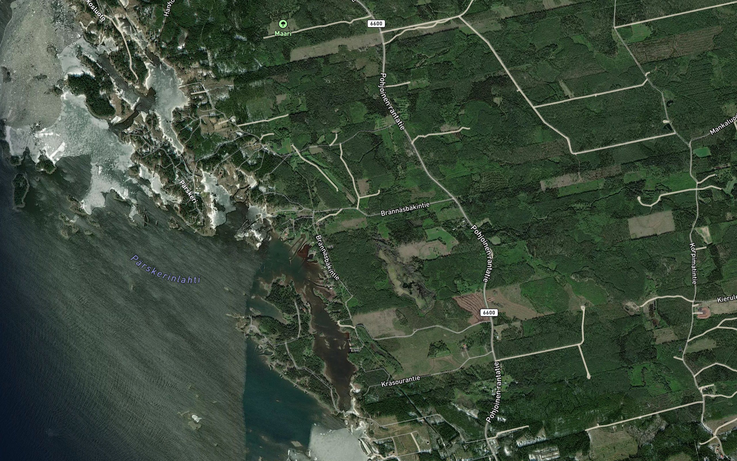 Paekinoja
