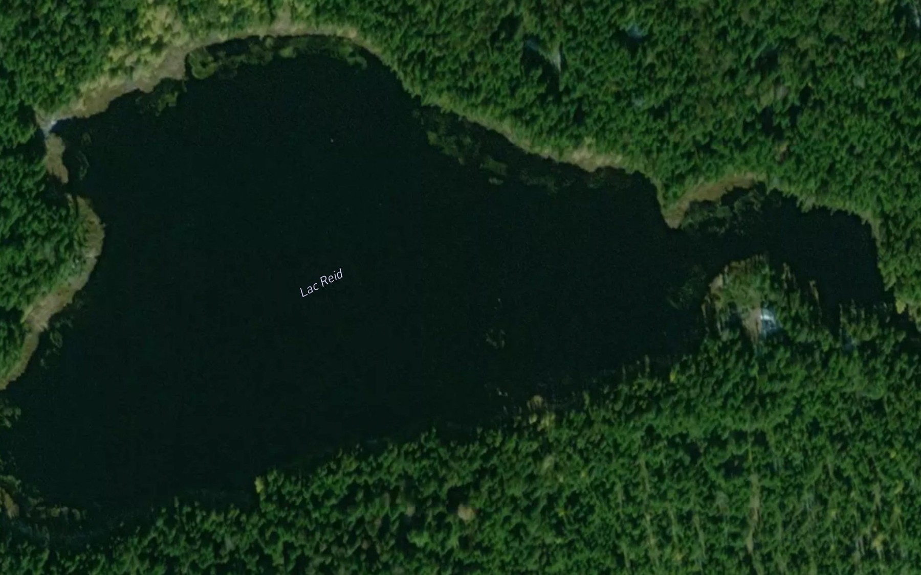 Satellite map of the Lac Reid