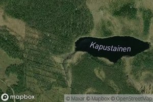 Pokinapuro