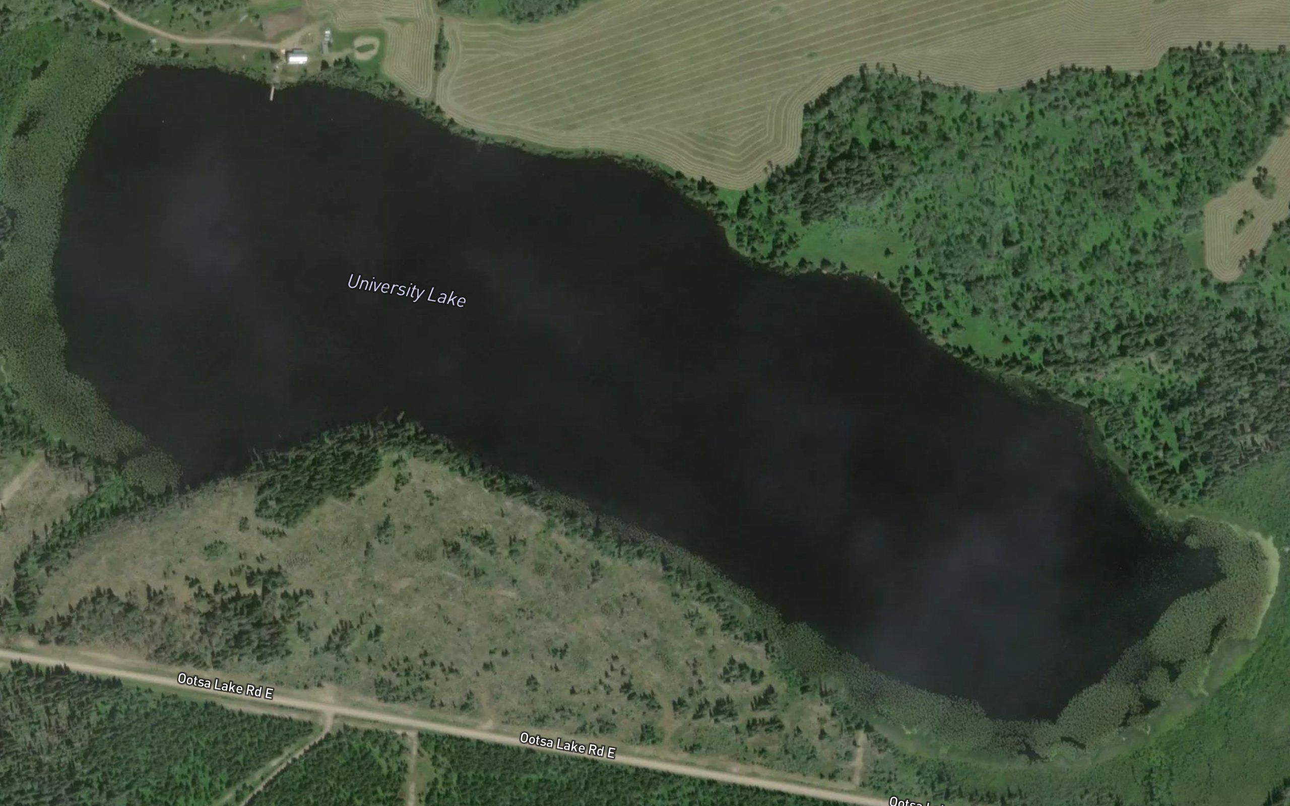 University Lake