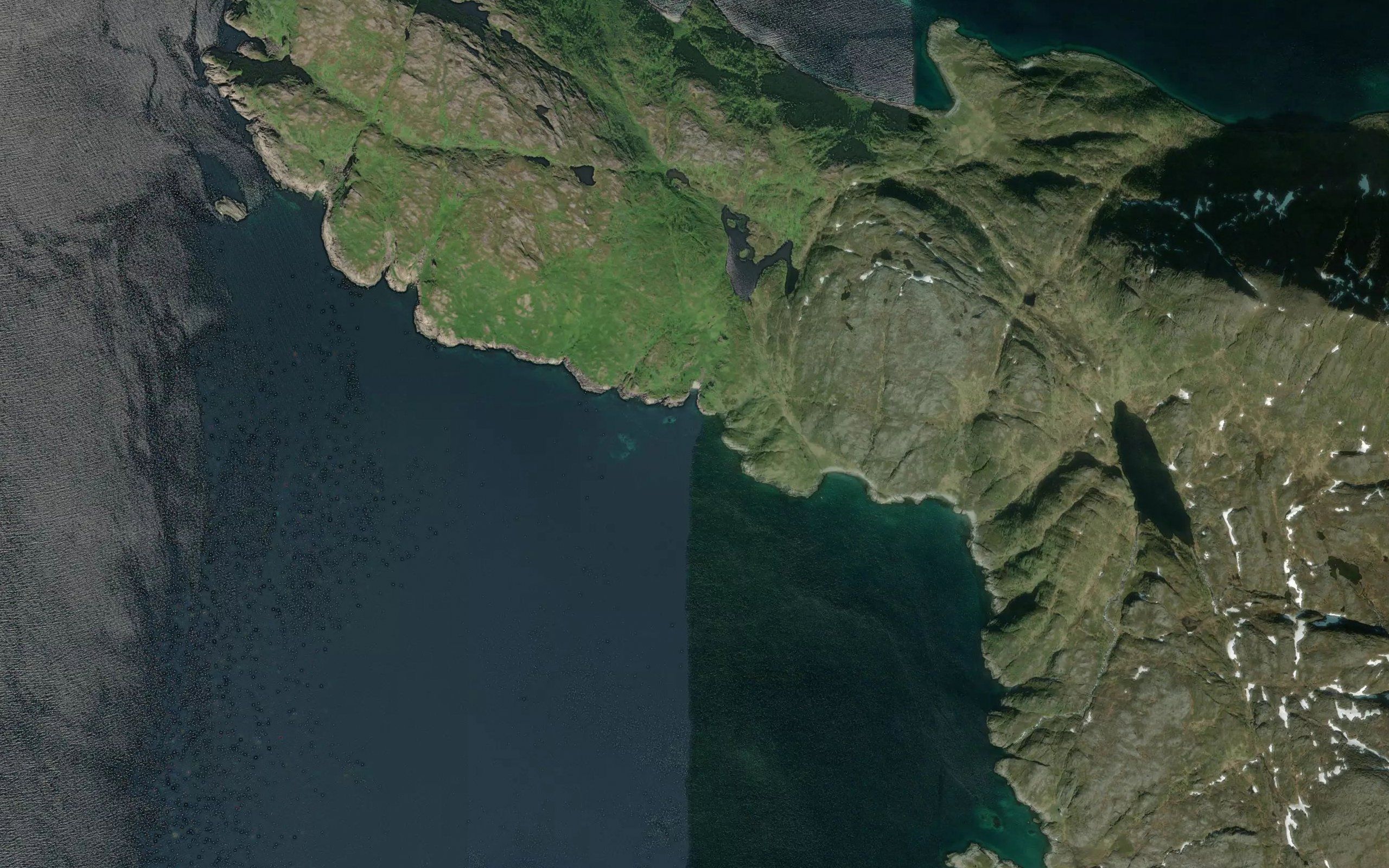 Reinvika