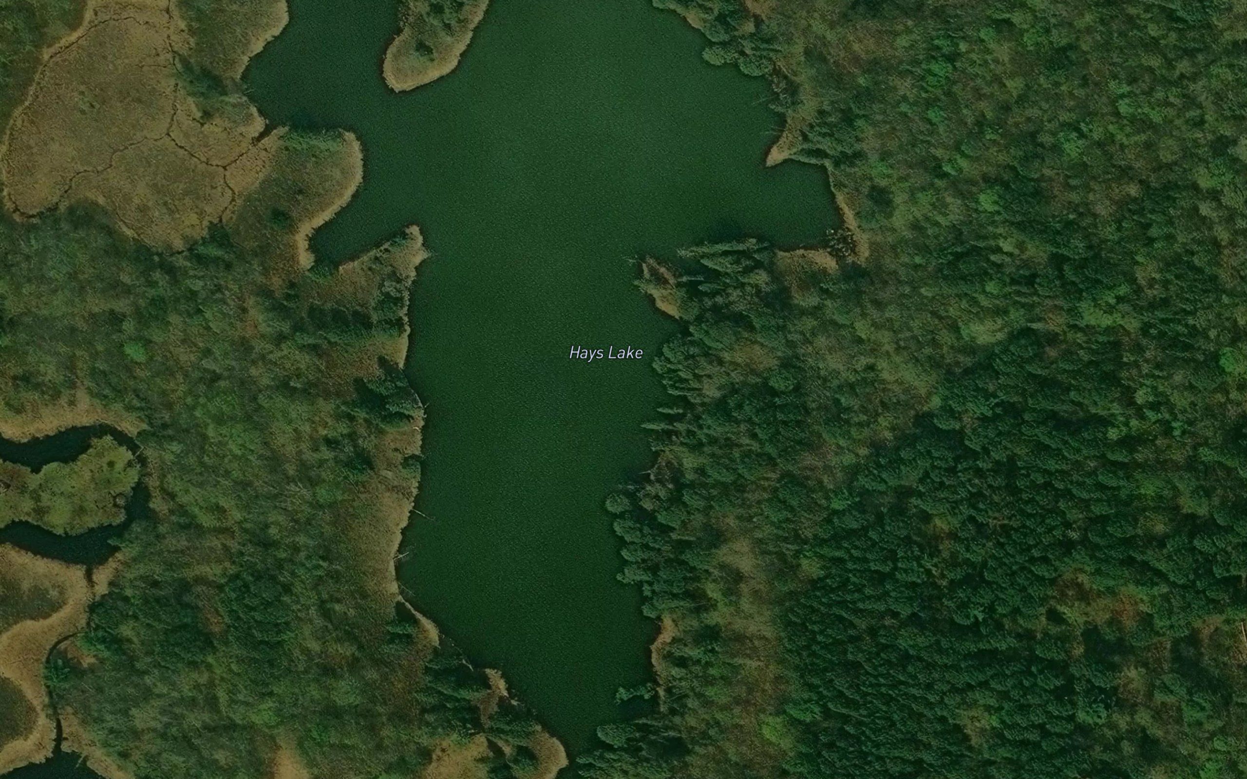 Hays Lake