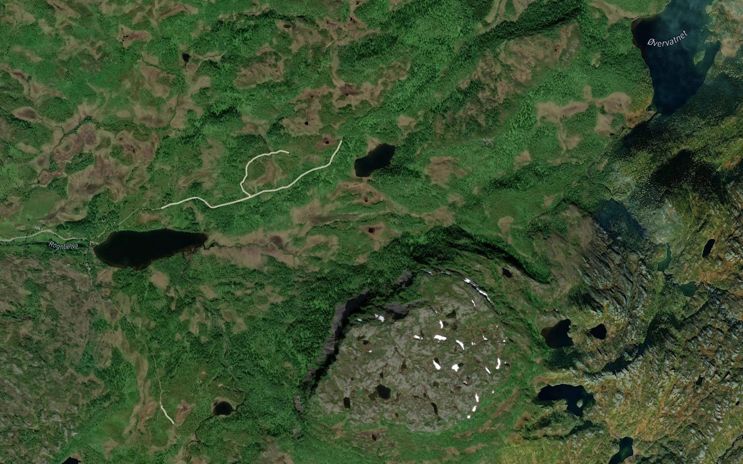 Lomtjorna
