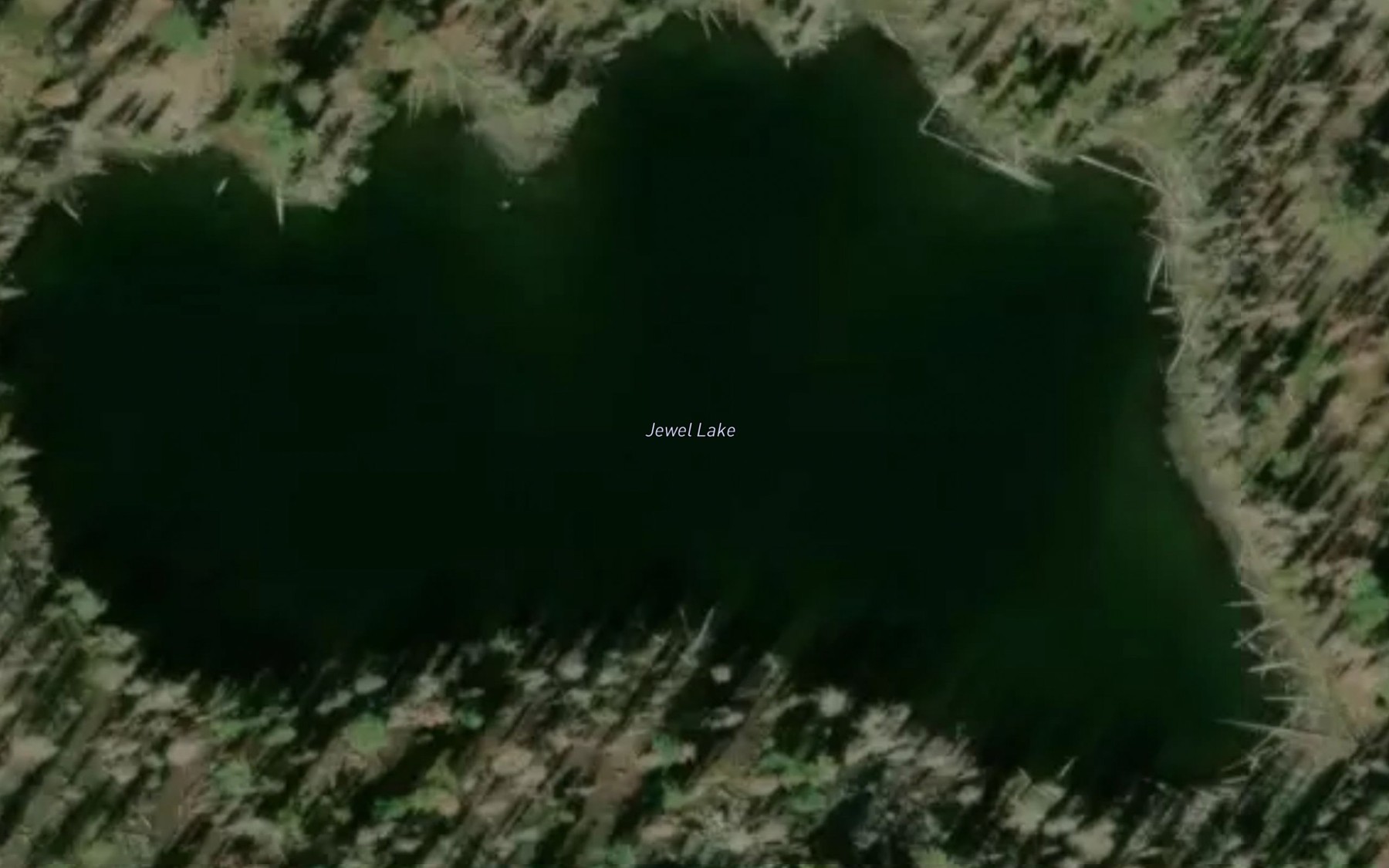 Satellite map of the Jewel Lake