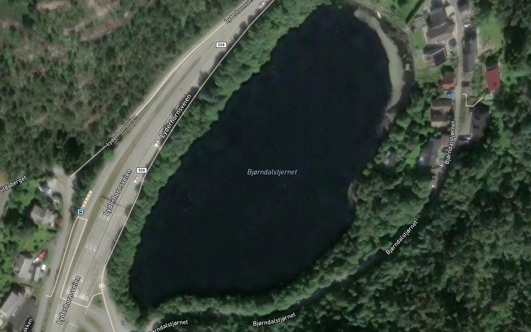 Satellite map of the Bjorndalstjorna
