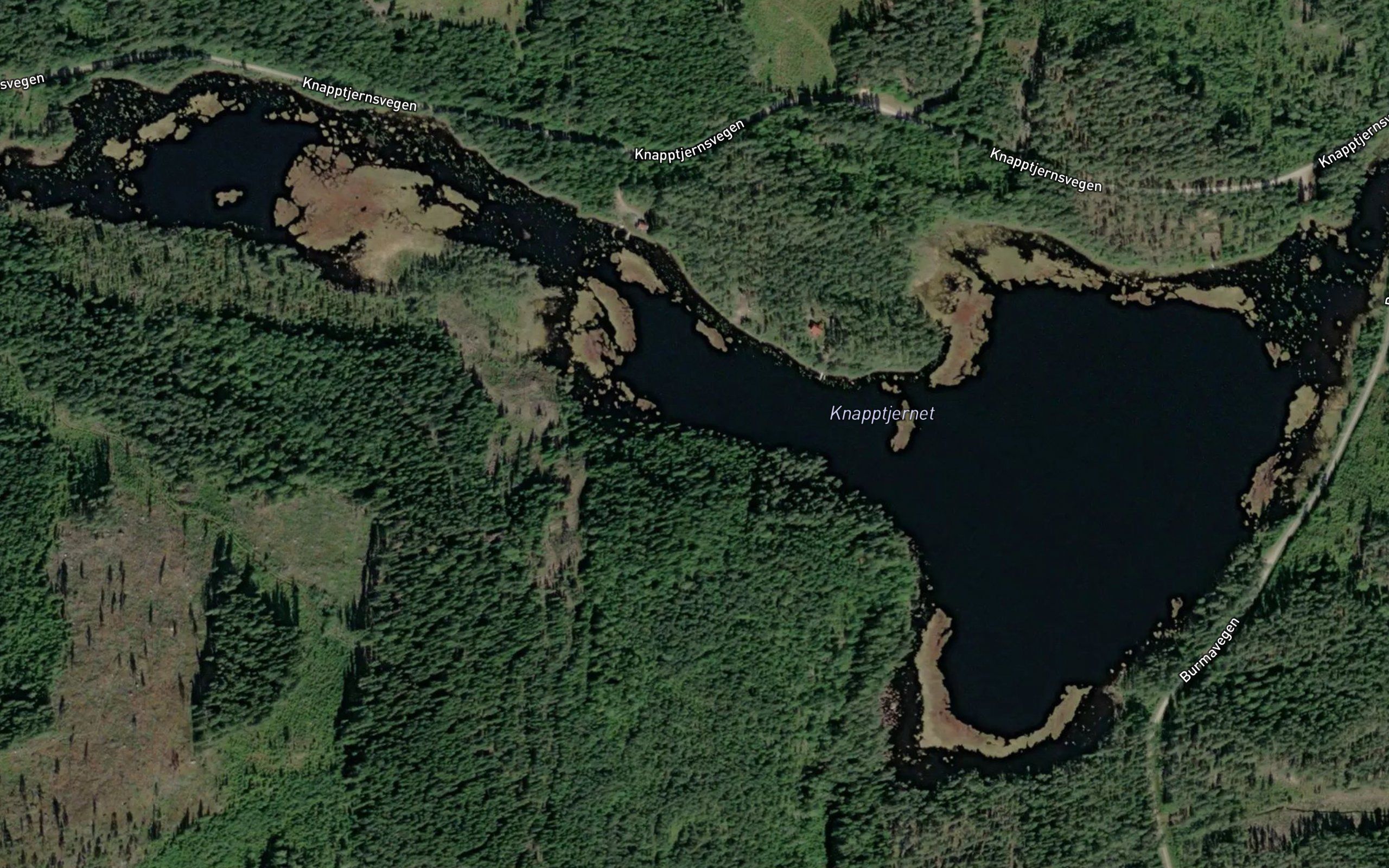 Knapptjernet