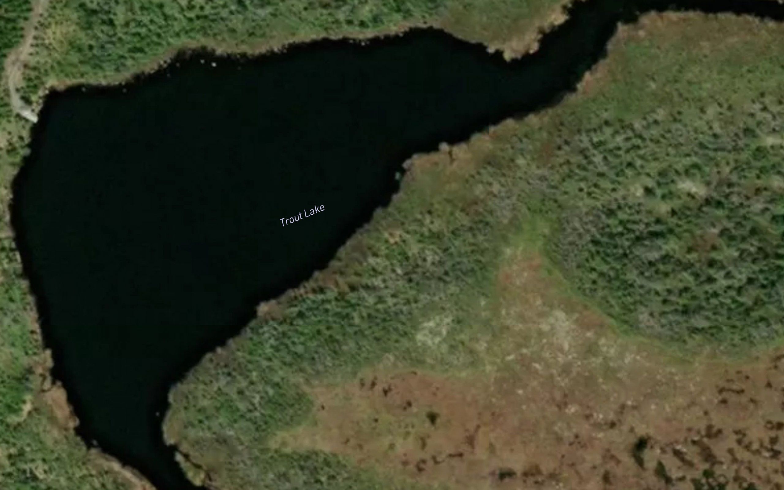 Trout Lake